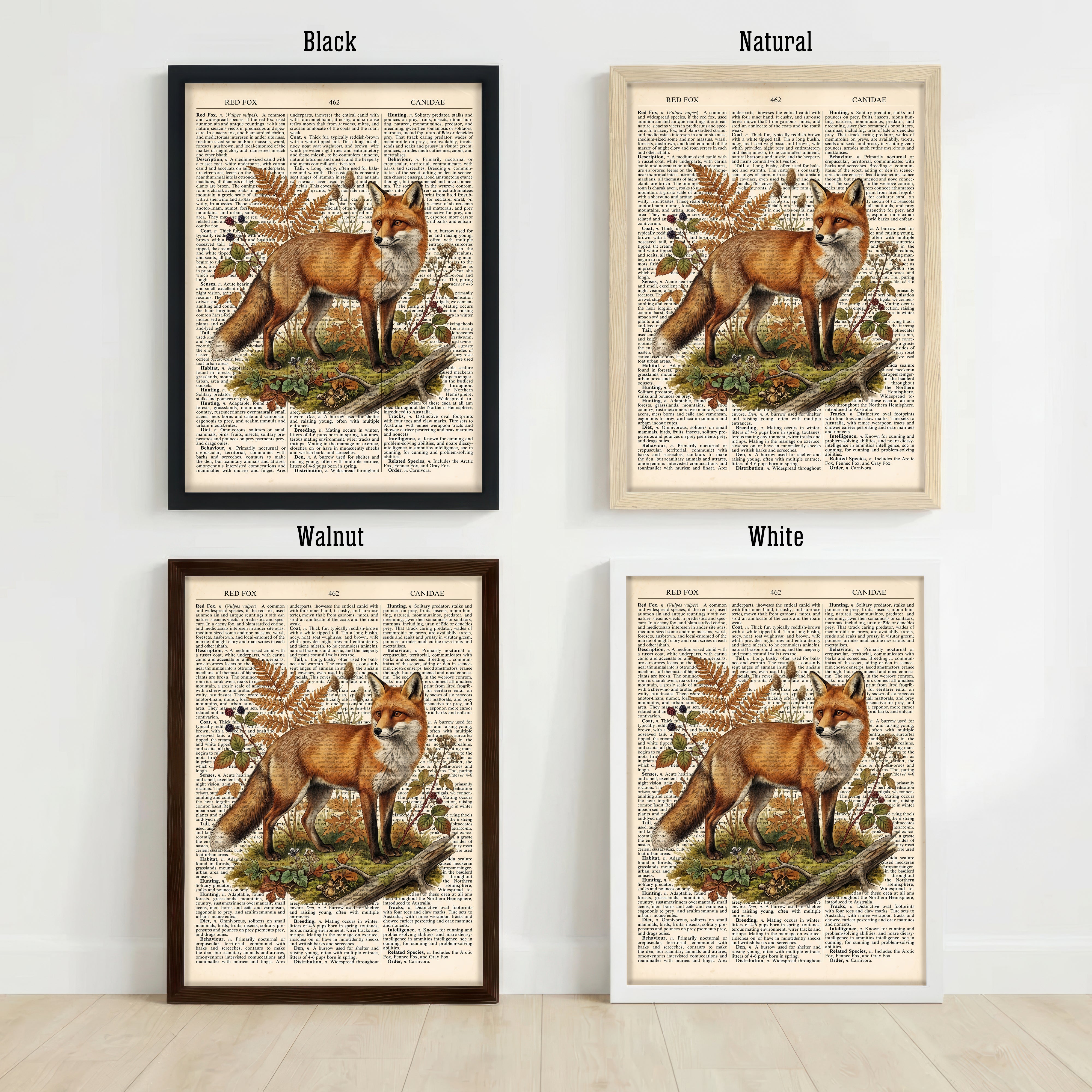 Vintage Red Fox Natural History Art Print