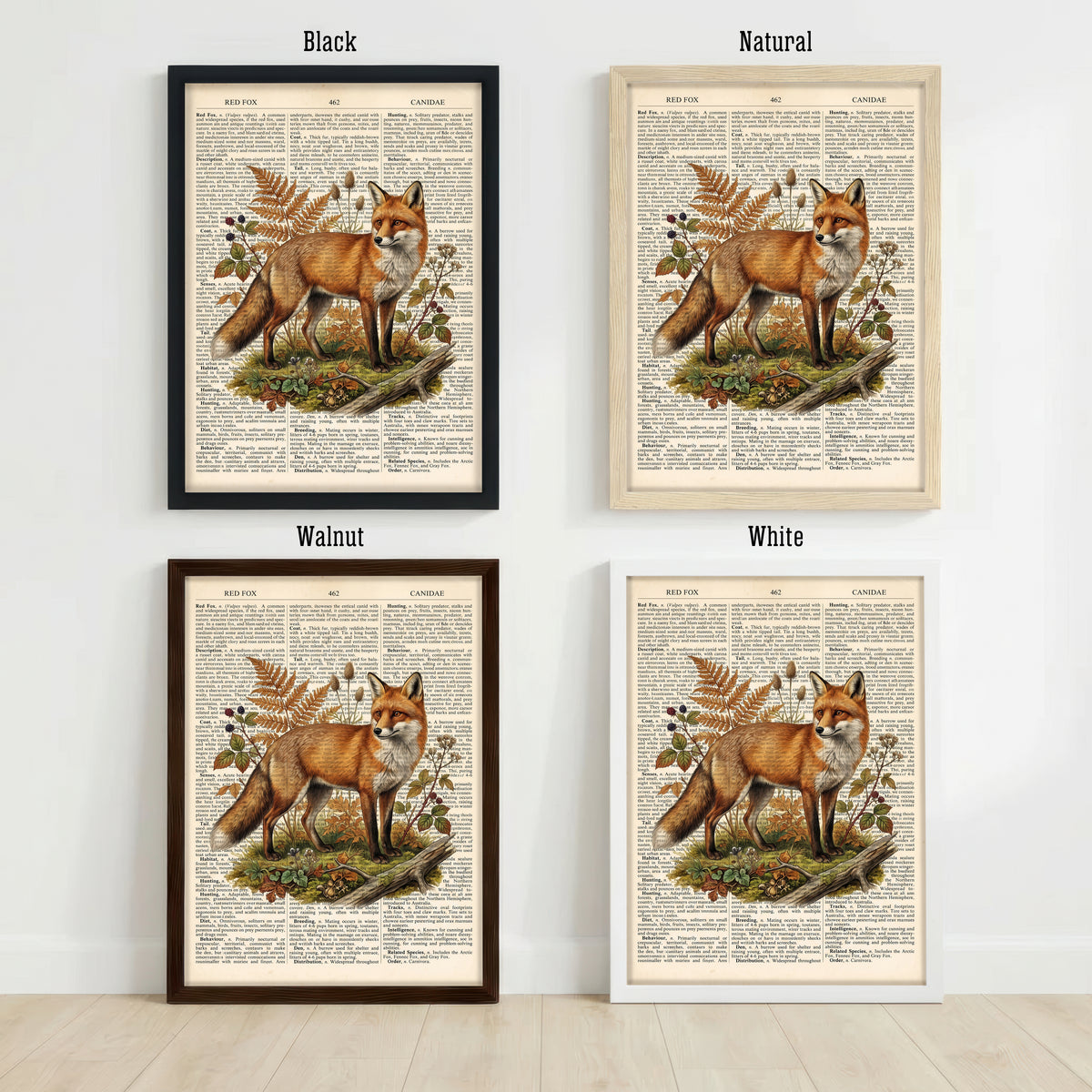 Vintage Red Fox Natural History Art Print