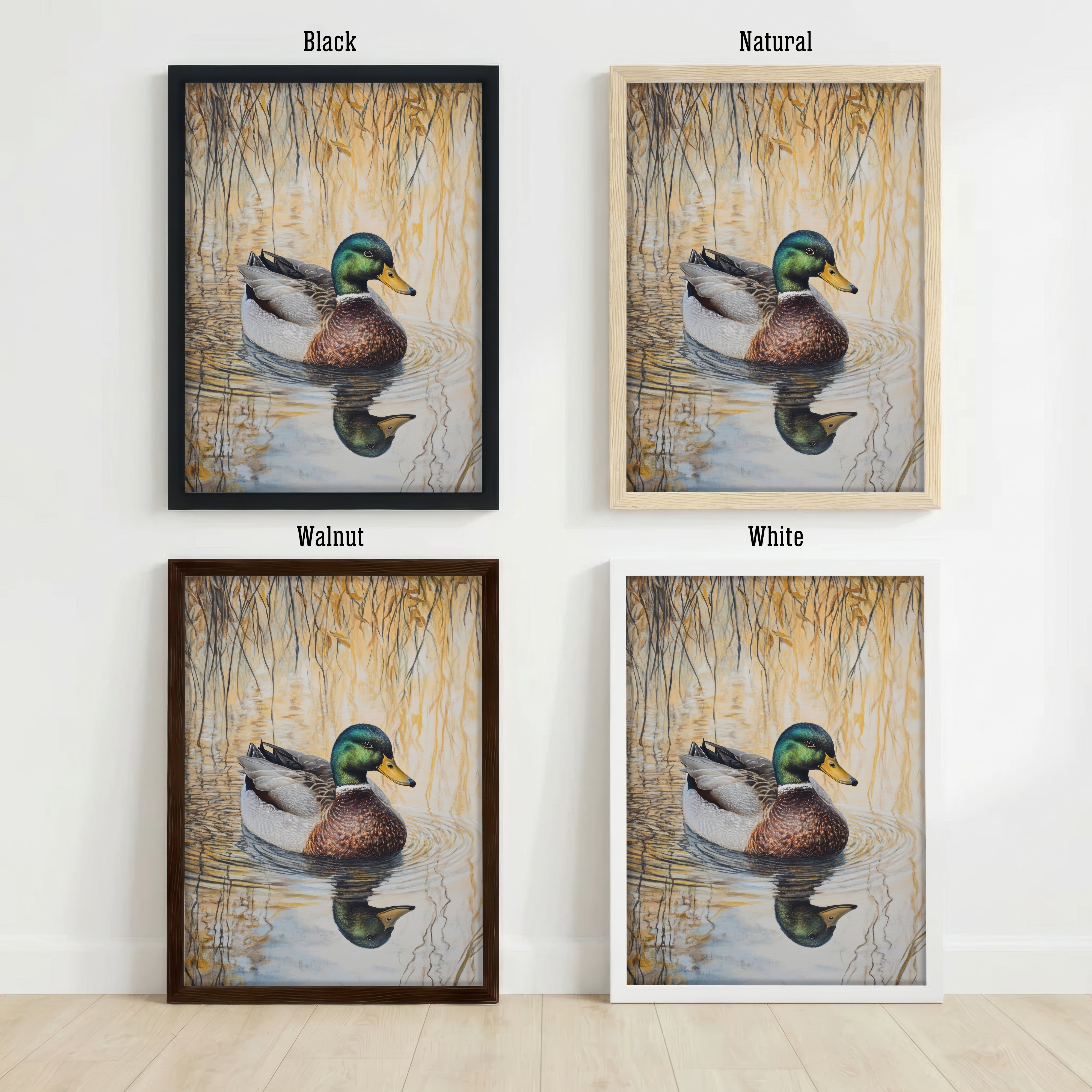 Mallard Duck Pond Art Print