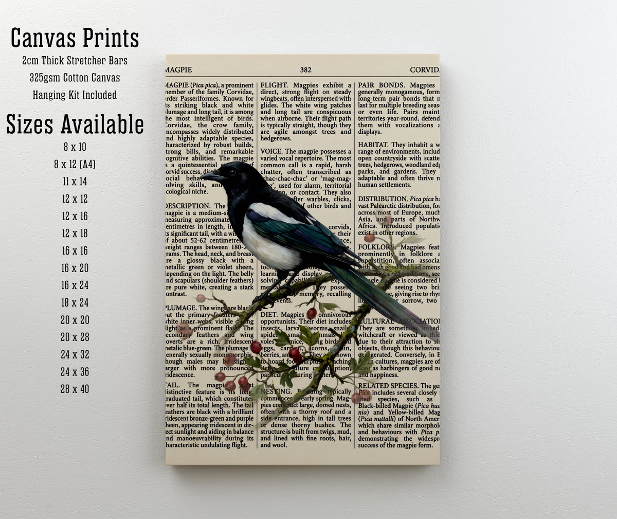 Vintage Magpie Natural History Art Print