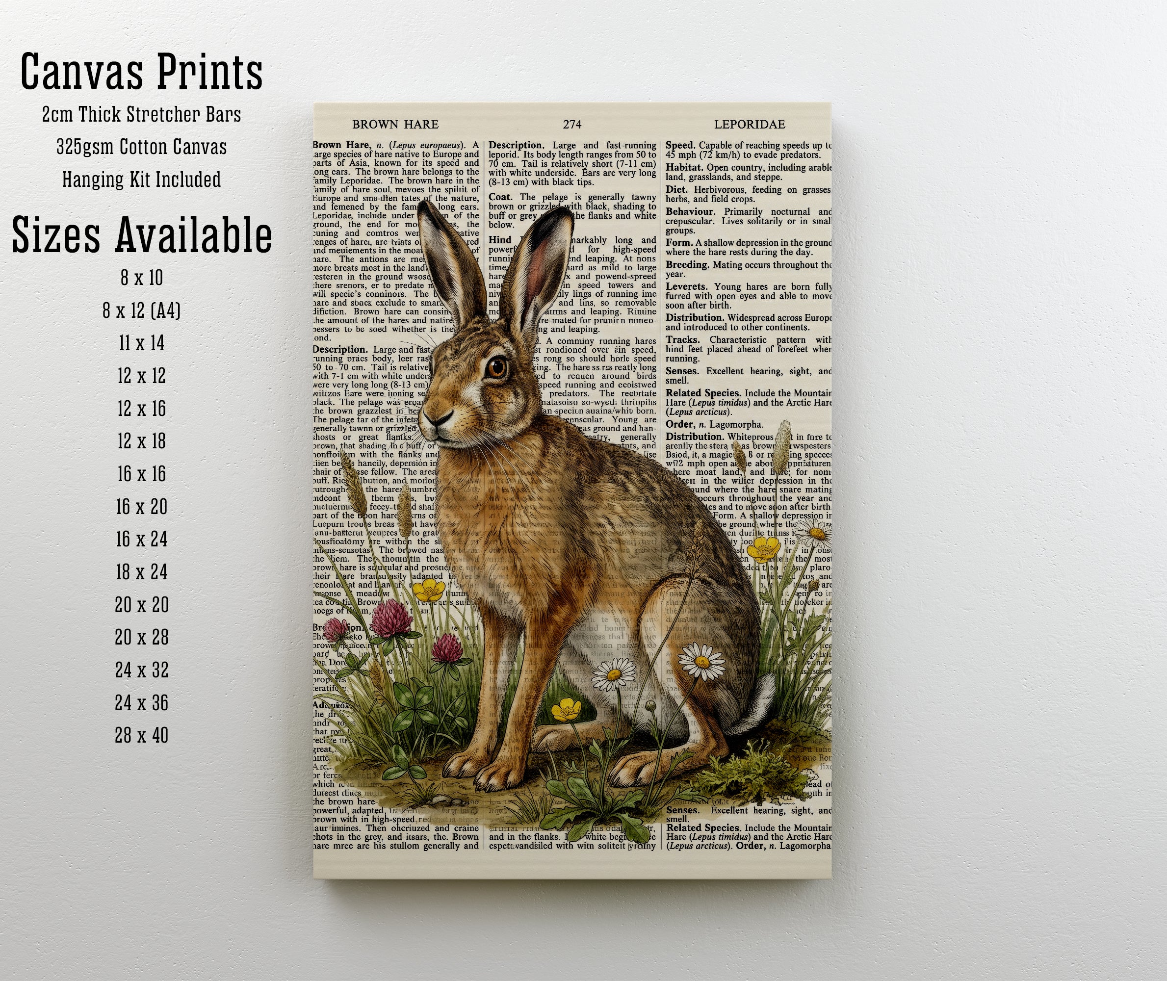 Brown Hare Botanical Art Print