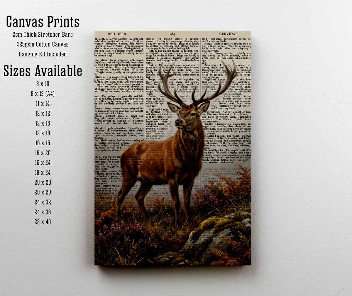 Red Deer Vintage Natural History Art Print