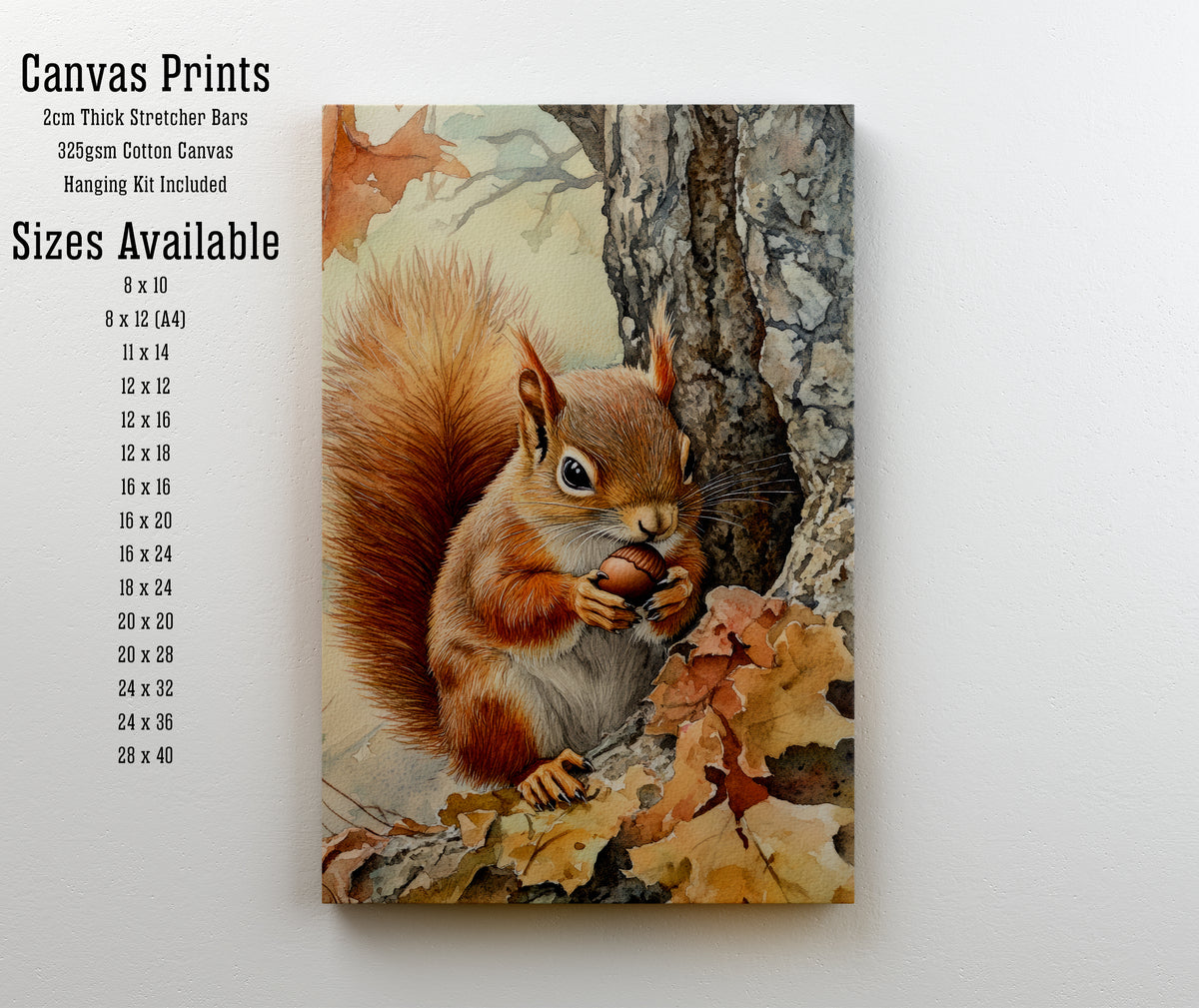 Red Squirrel Watercolour Art Print