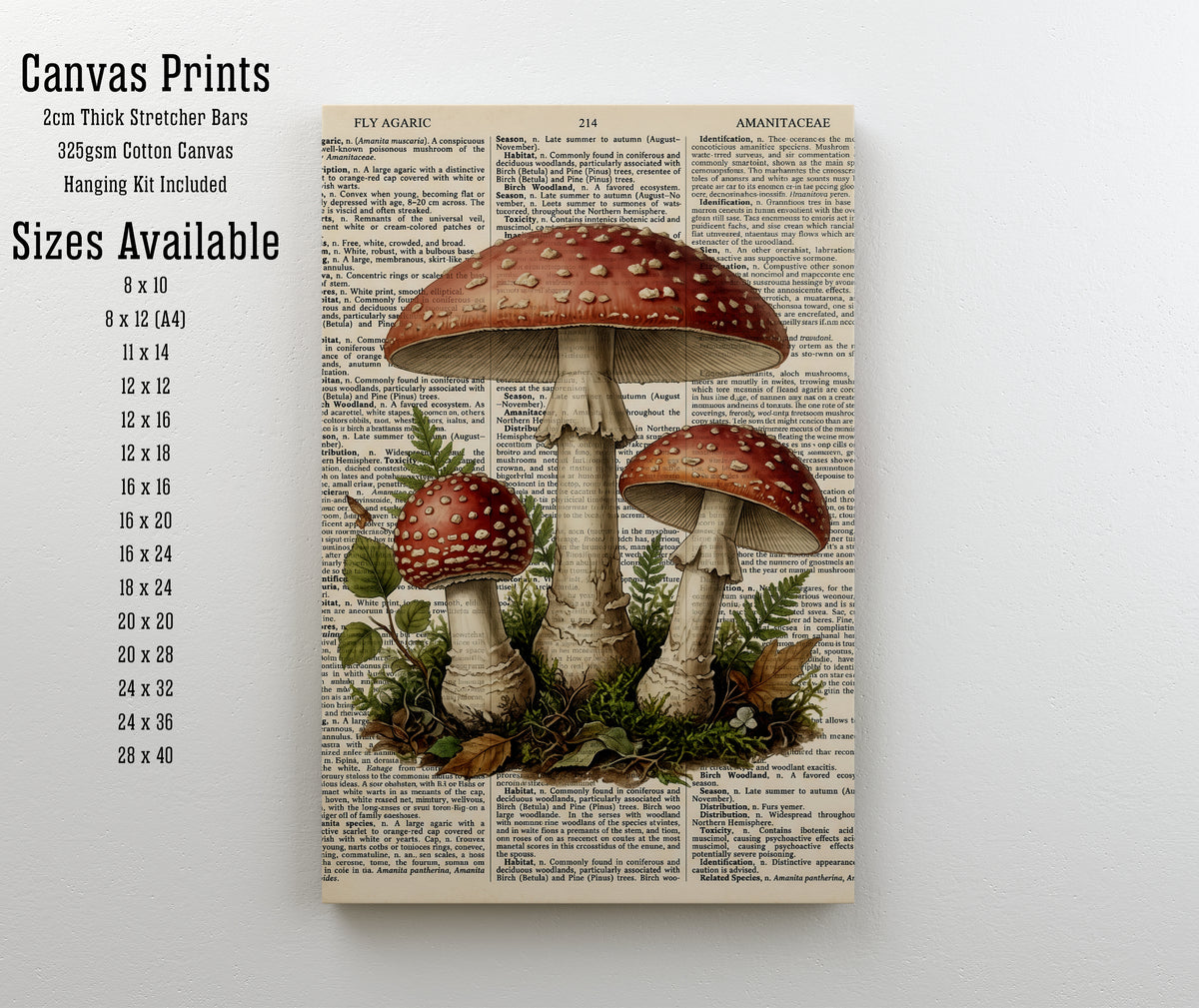 Fly Agaric Mushroom Art Print