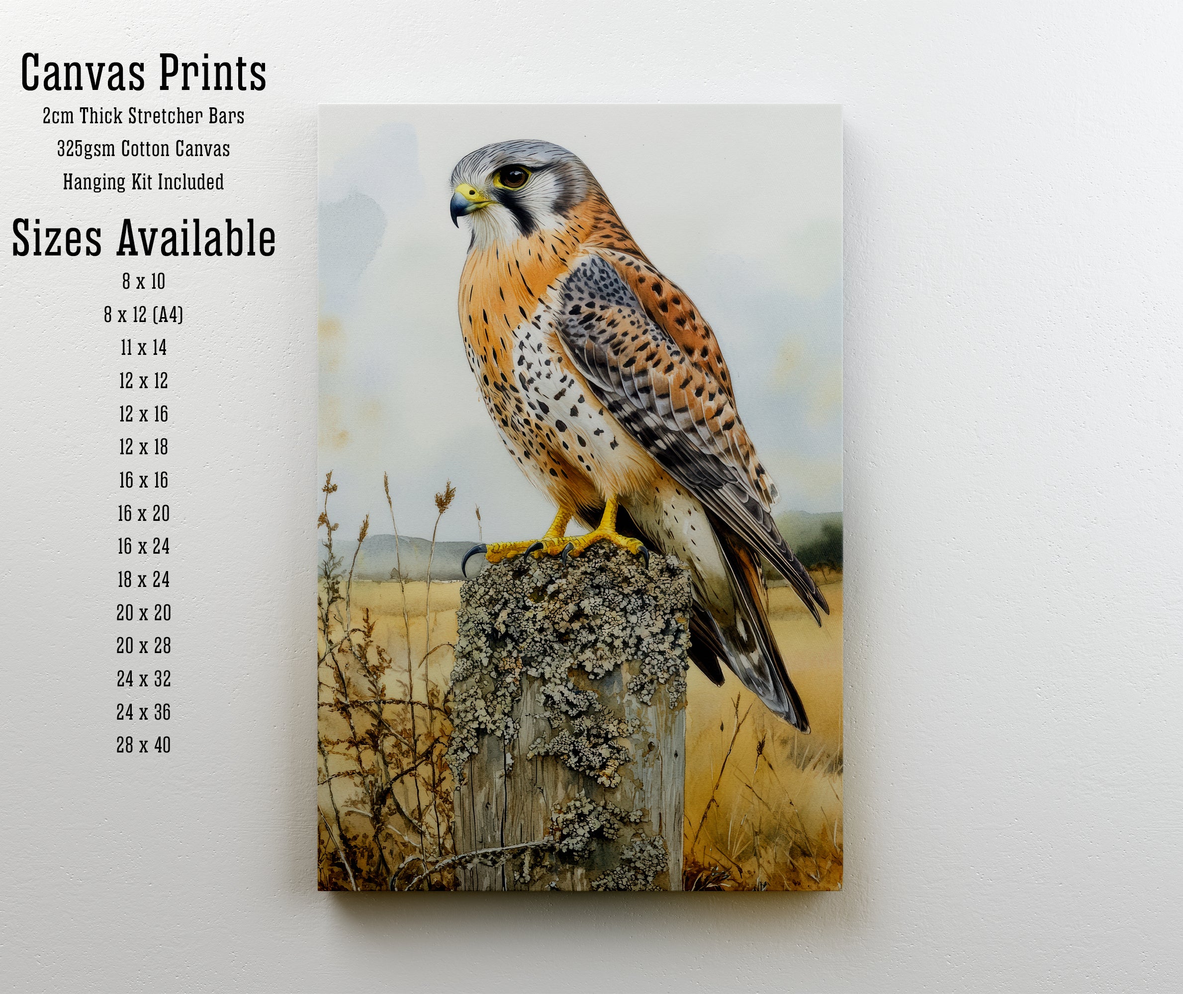 Kestrel Wildlife Watercolour Art Print