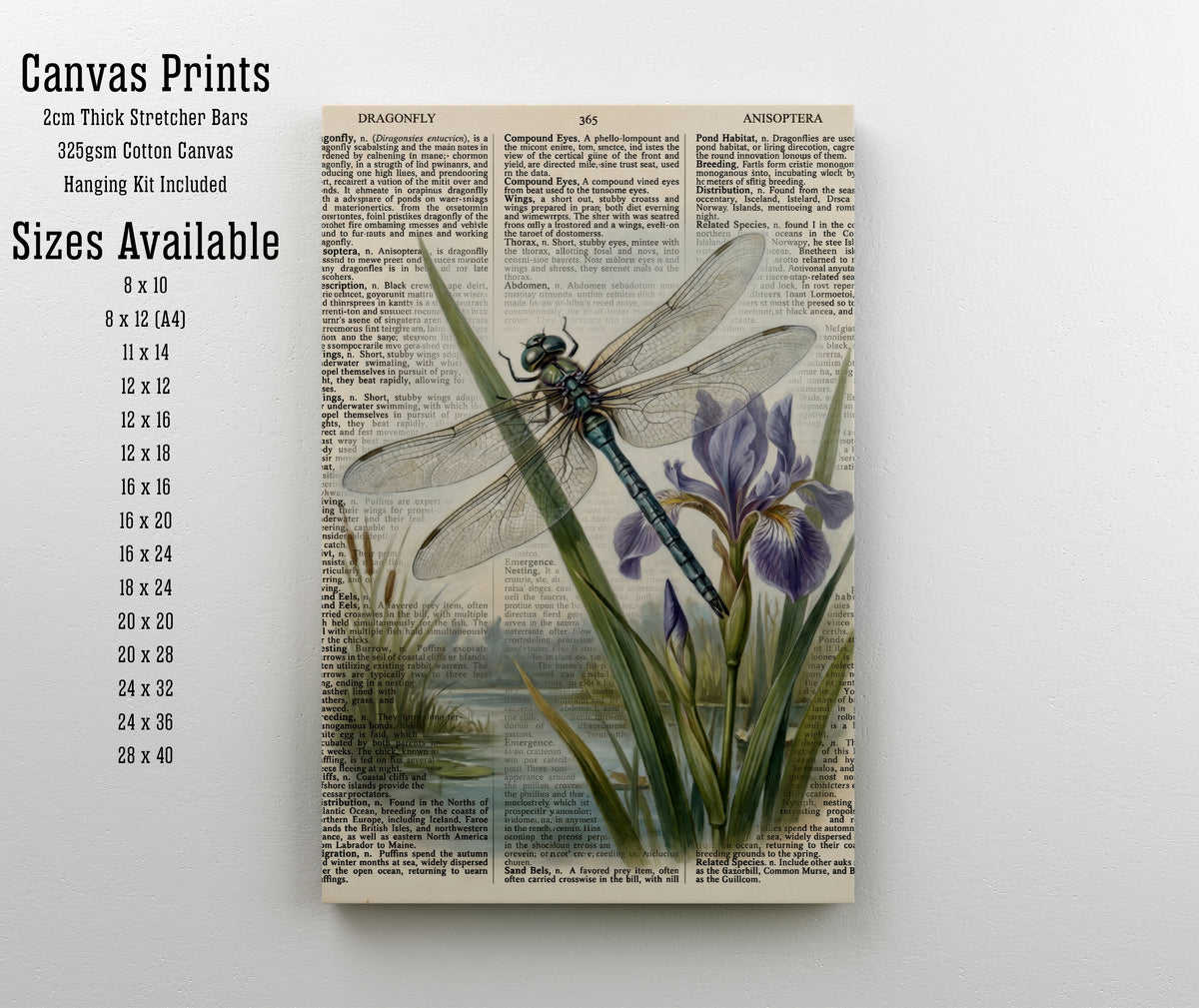 Dragonfly Iris Vintage Art Print