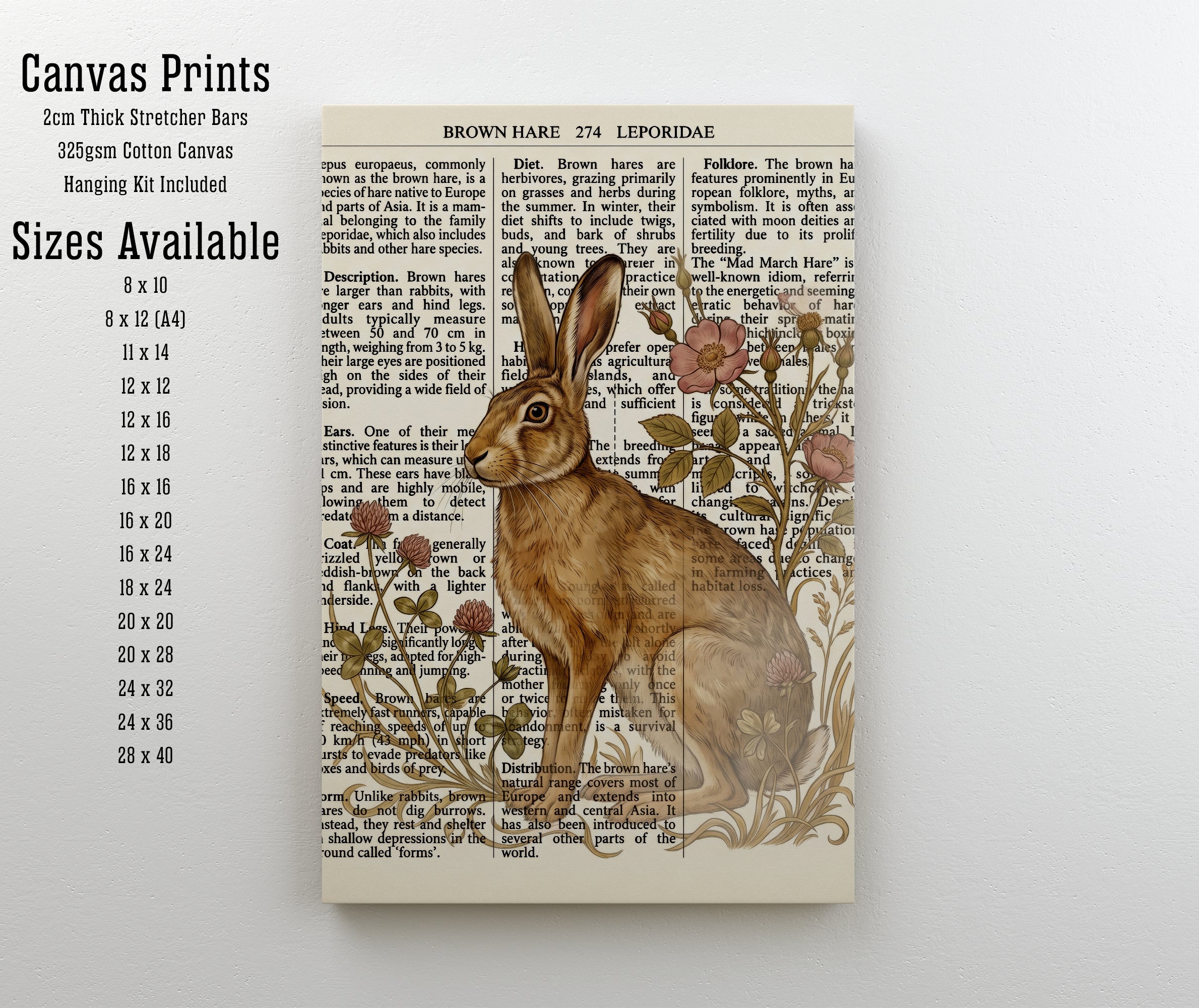 Brown Hare Botanical Art Print