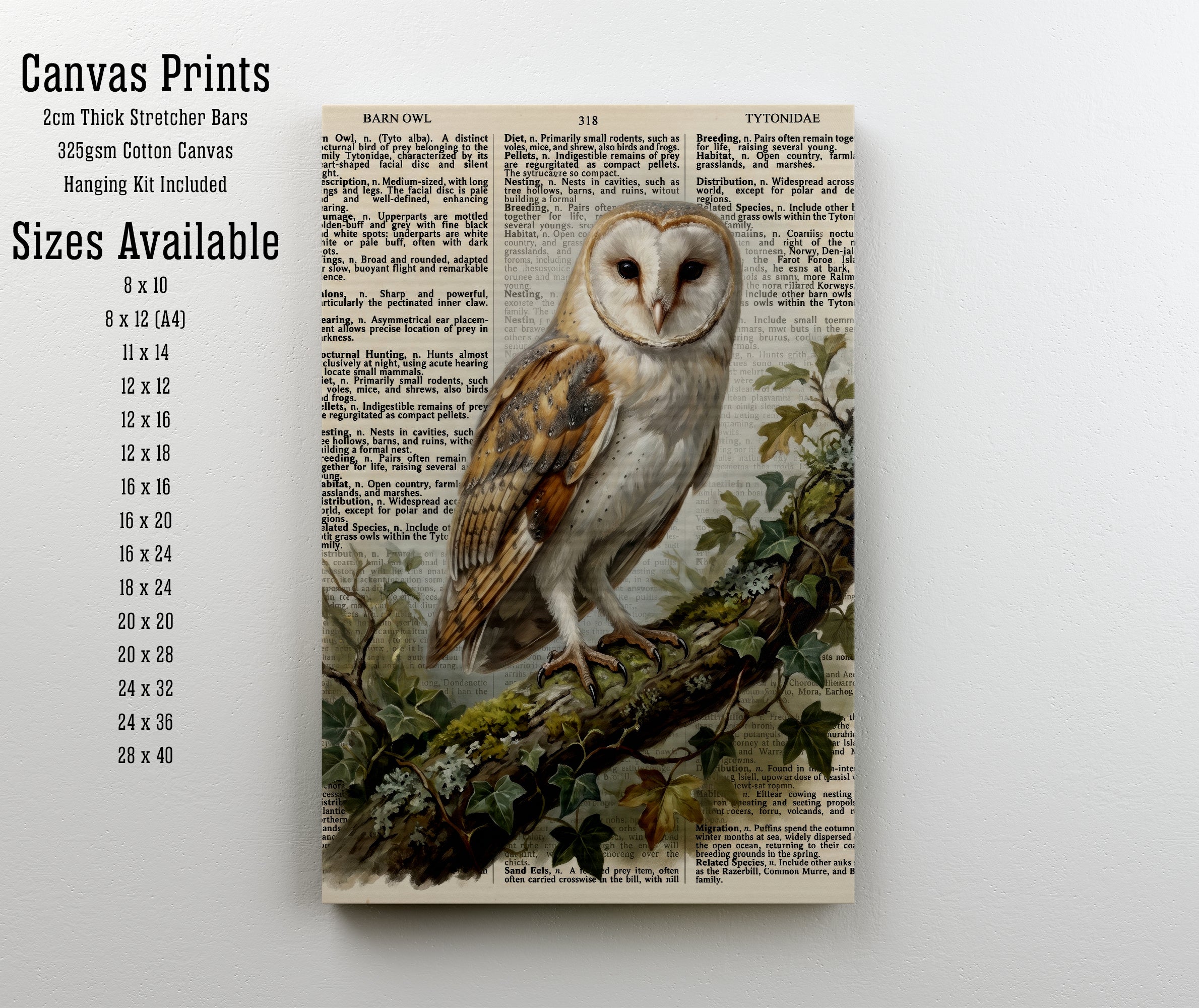 Barn Owl Vintage Botanical Art Print