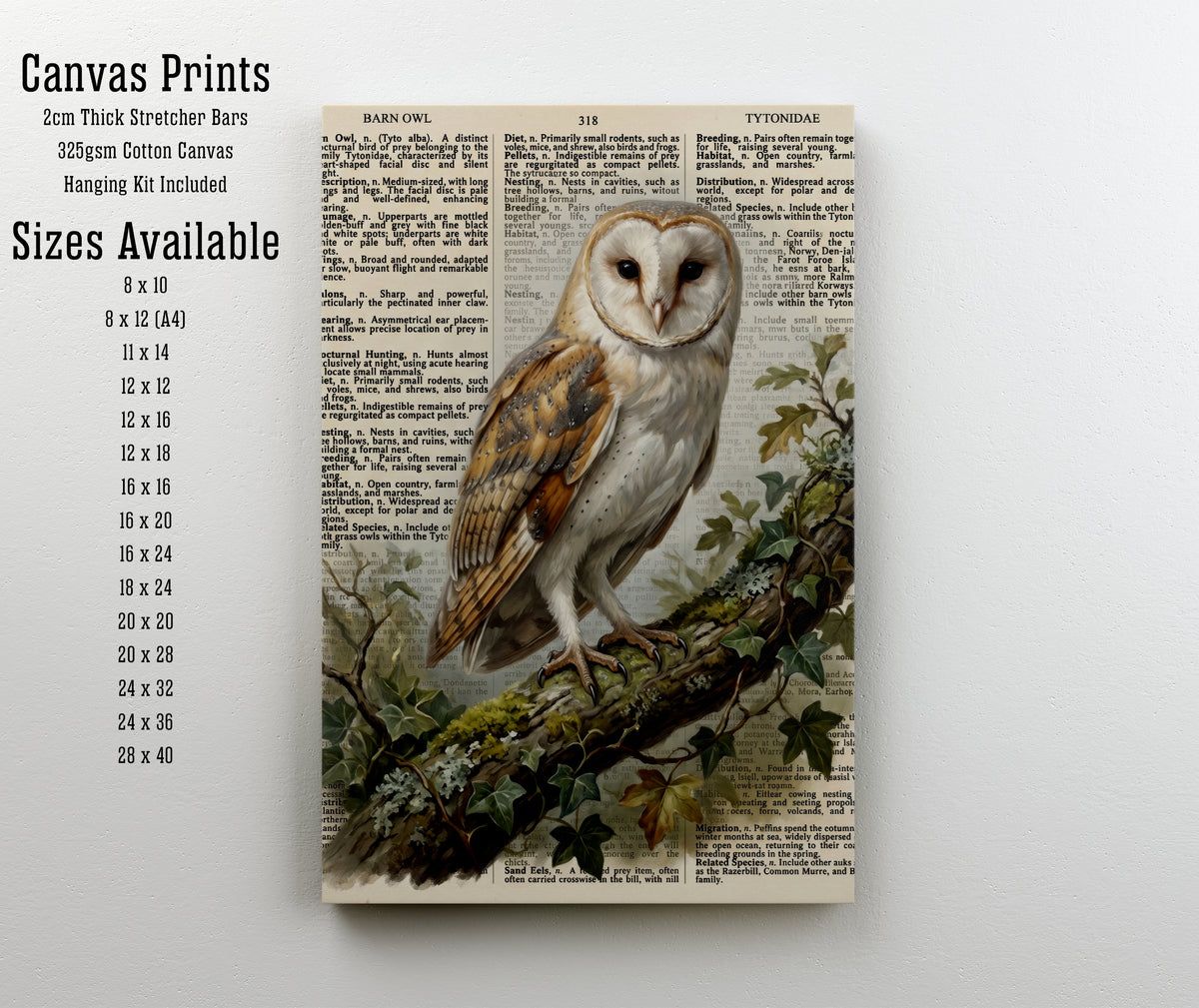 Barn Owl Vintage Botanical Art Print