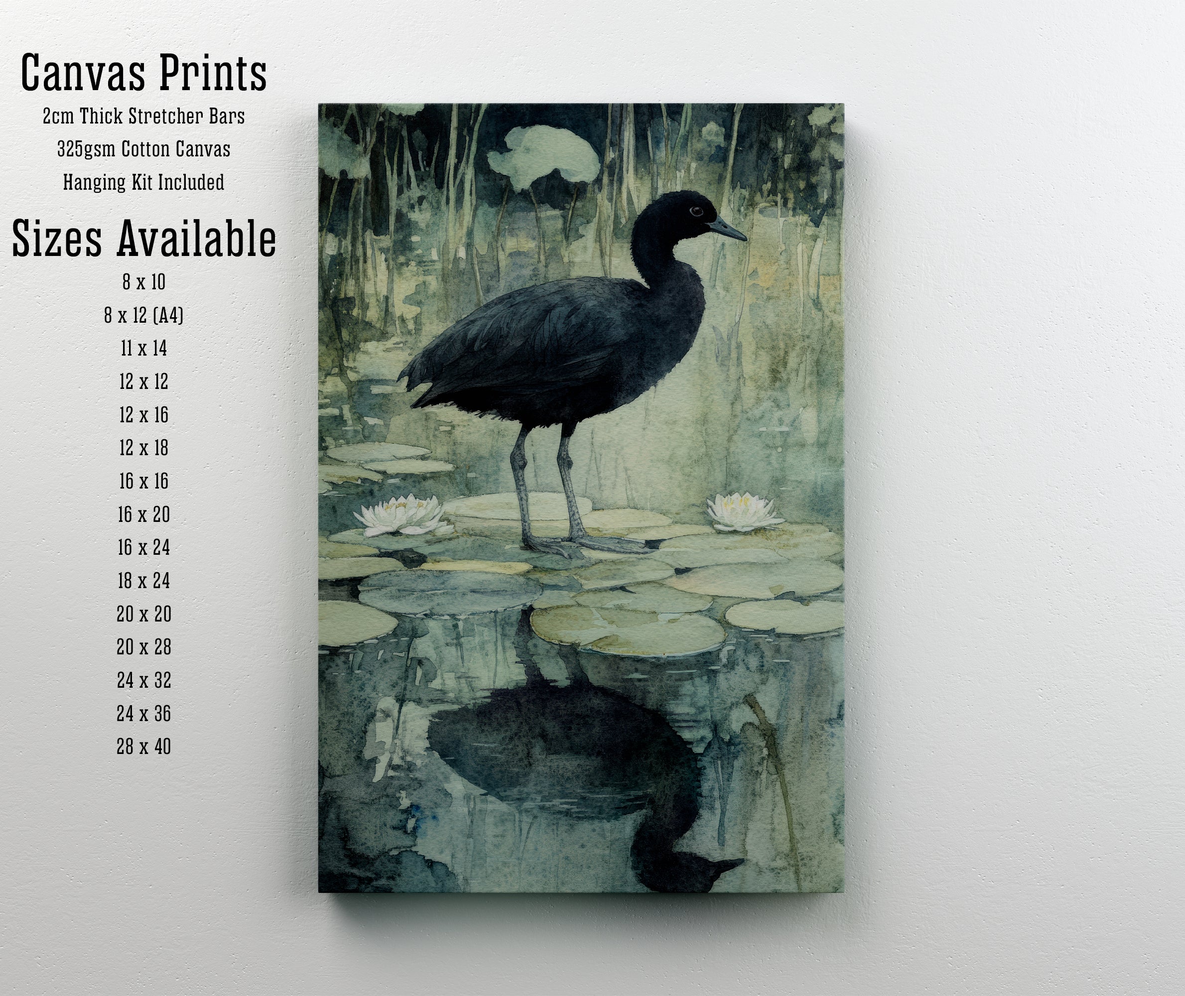 Coot Watercolour Pond Art Print