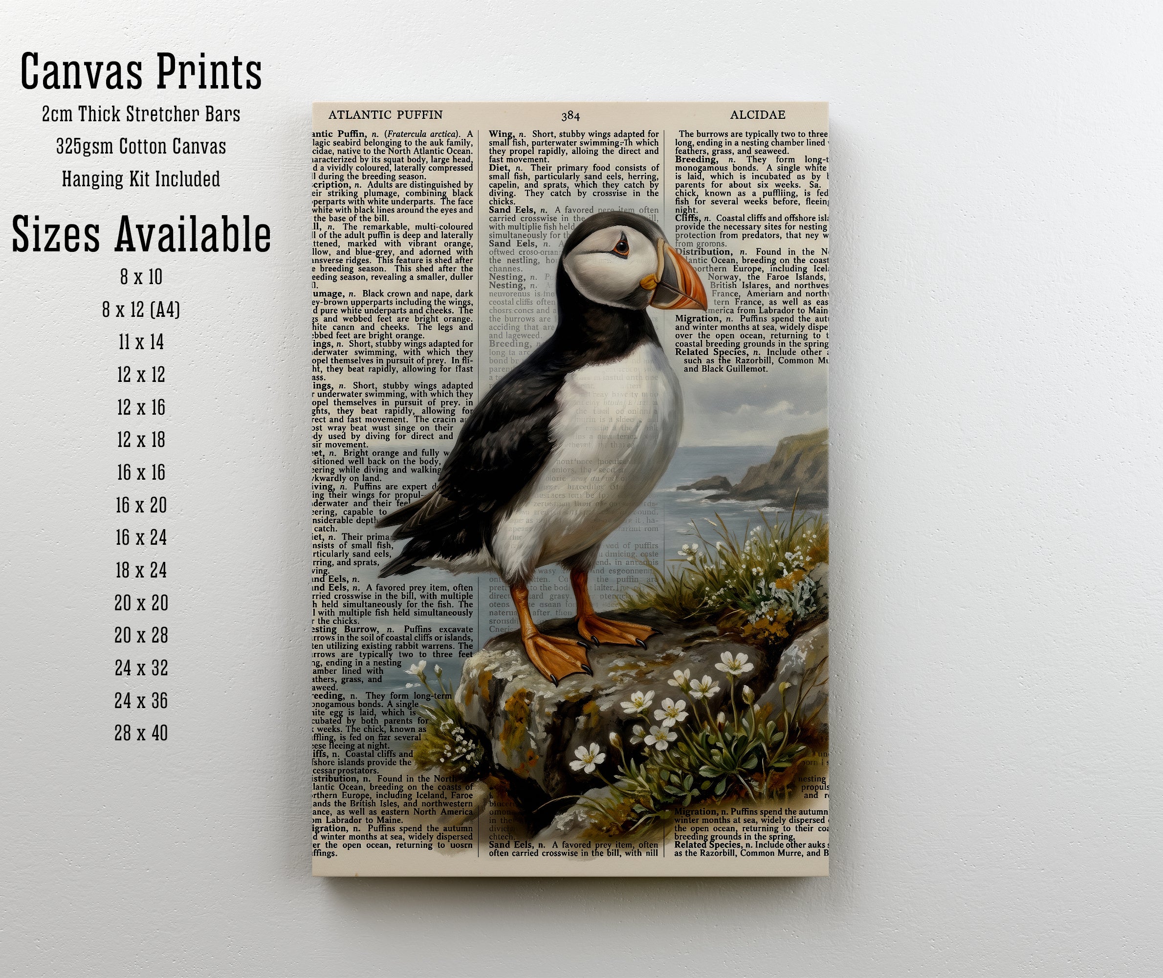 Atlantic Puffin Vintage Art Print