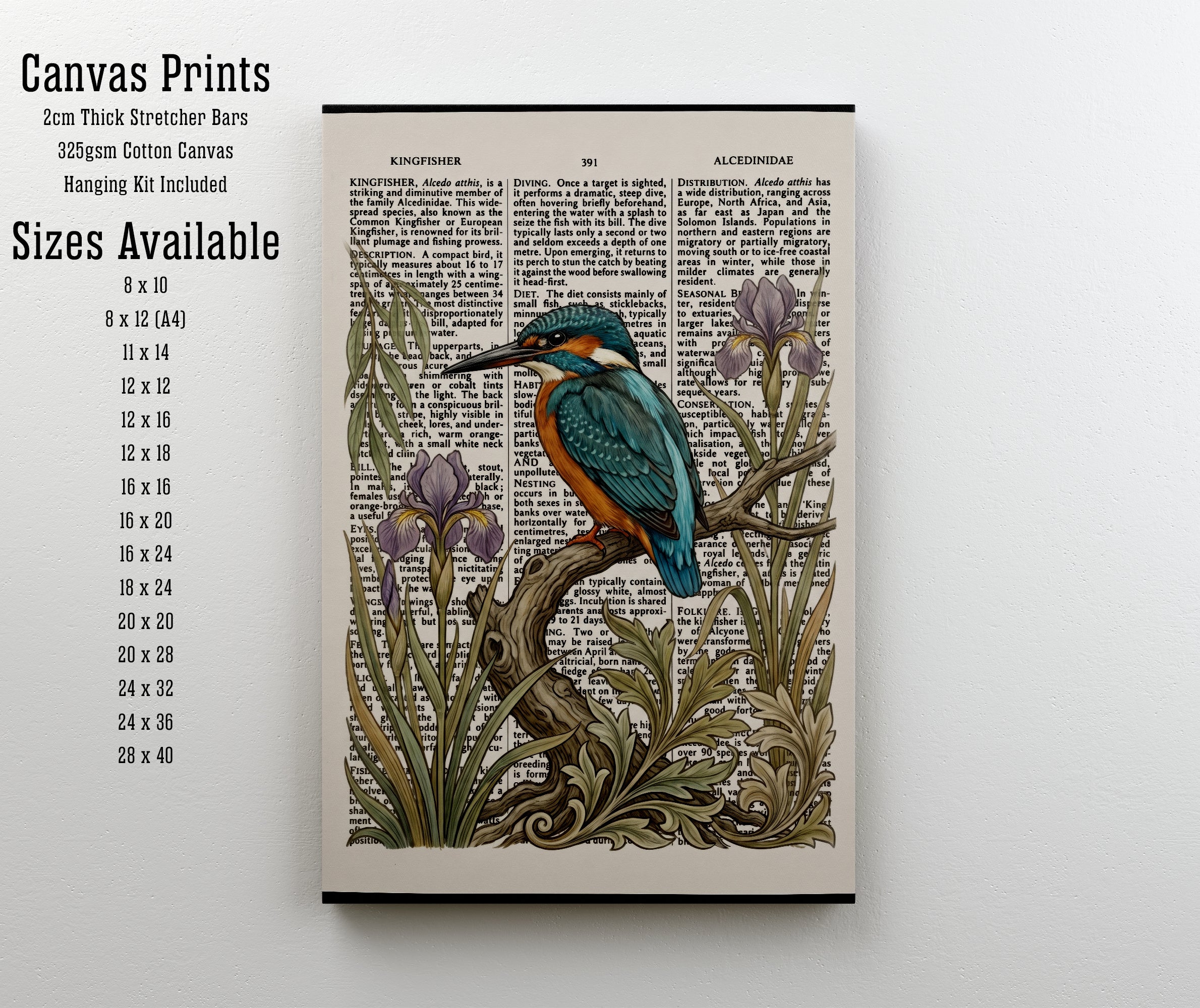 Kingfisher and Iris Vintage Art Print