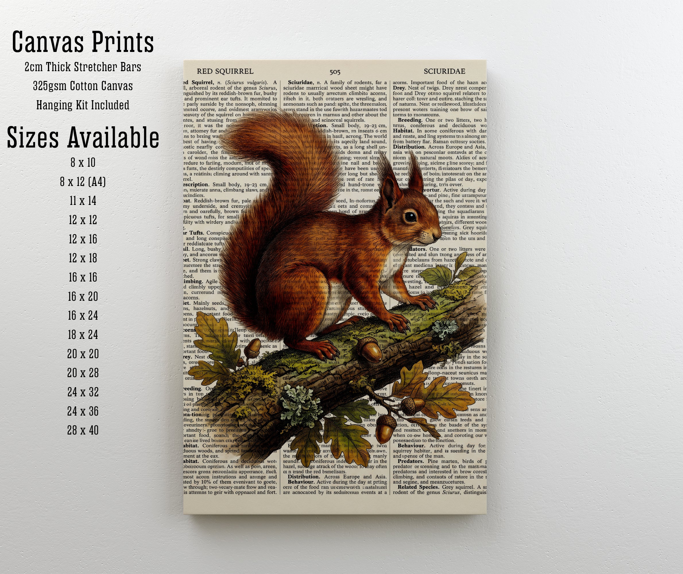 Red Squirrel Vintage Art Print