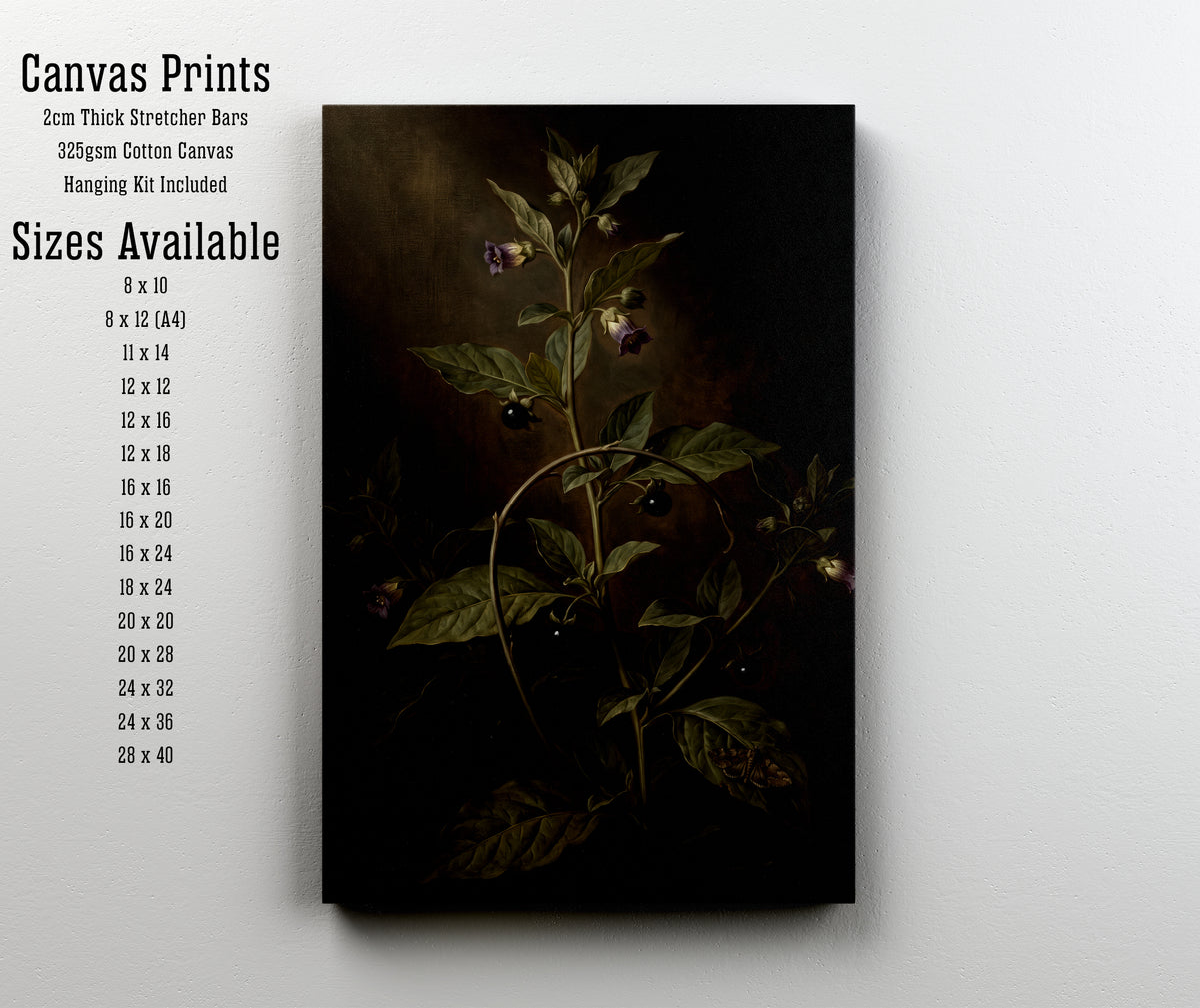 Deadly Nightshade Botanical Art Print