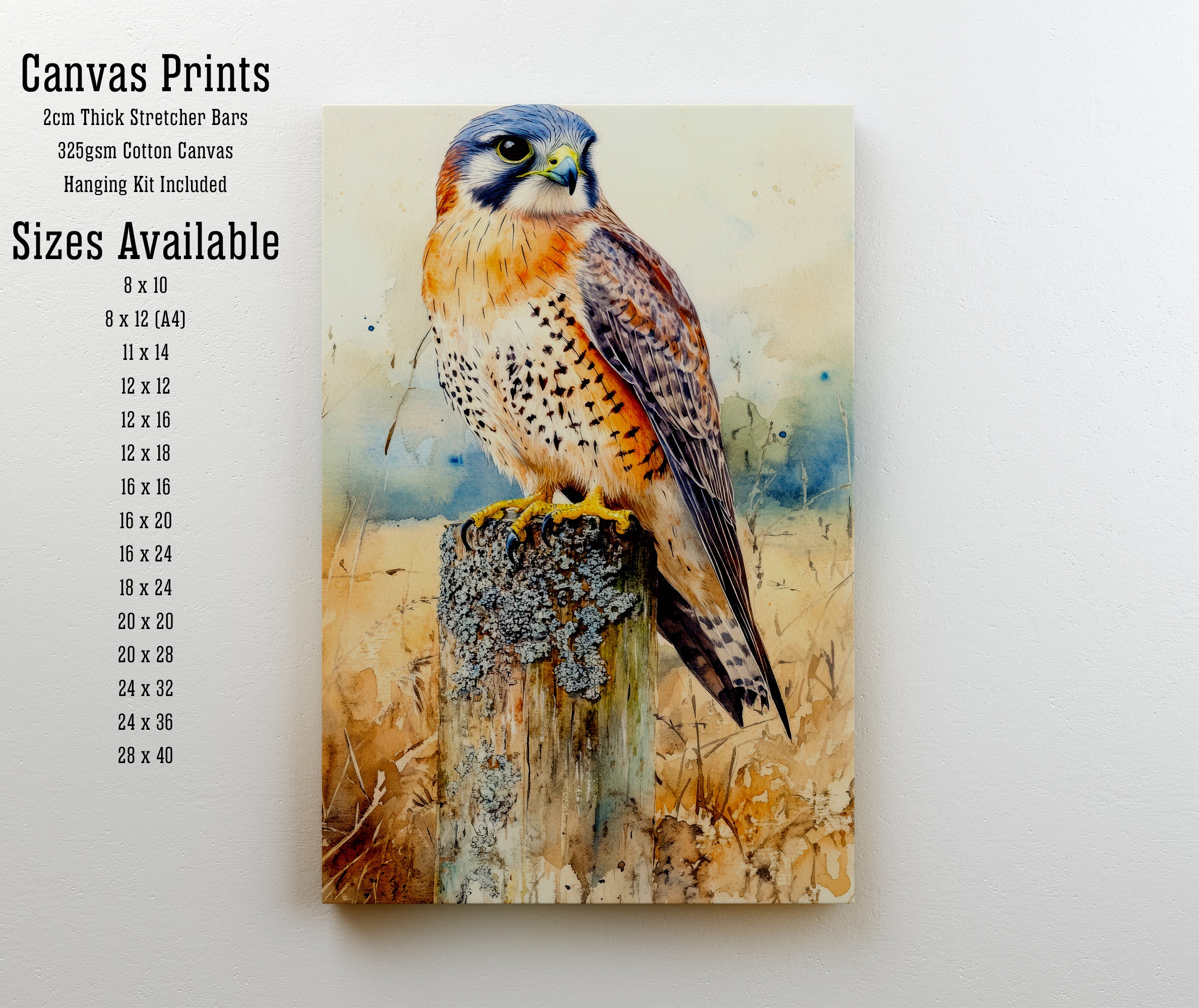 Kestrel Watercolour Art Print