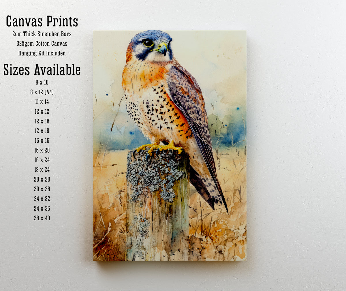 Kestrel Watercolour Art Print
