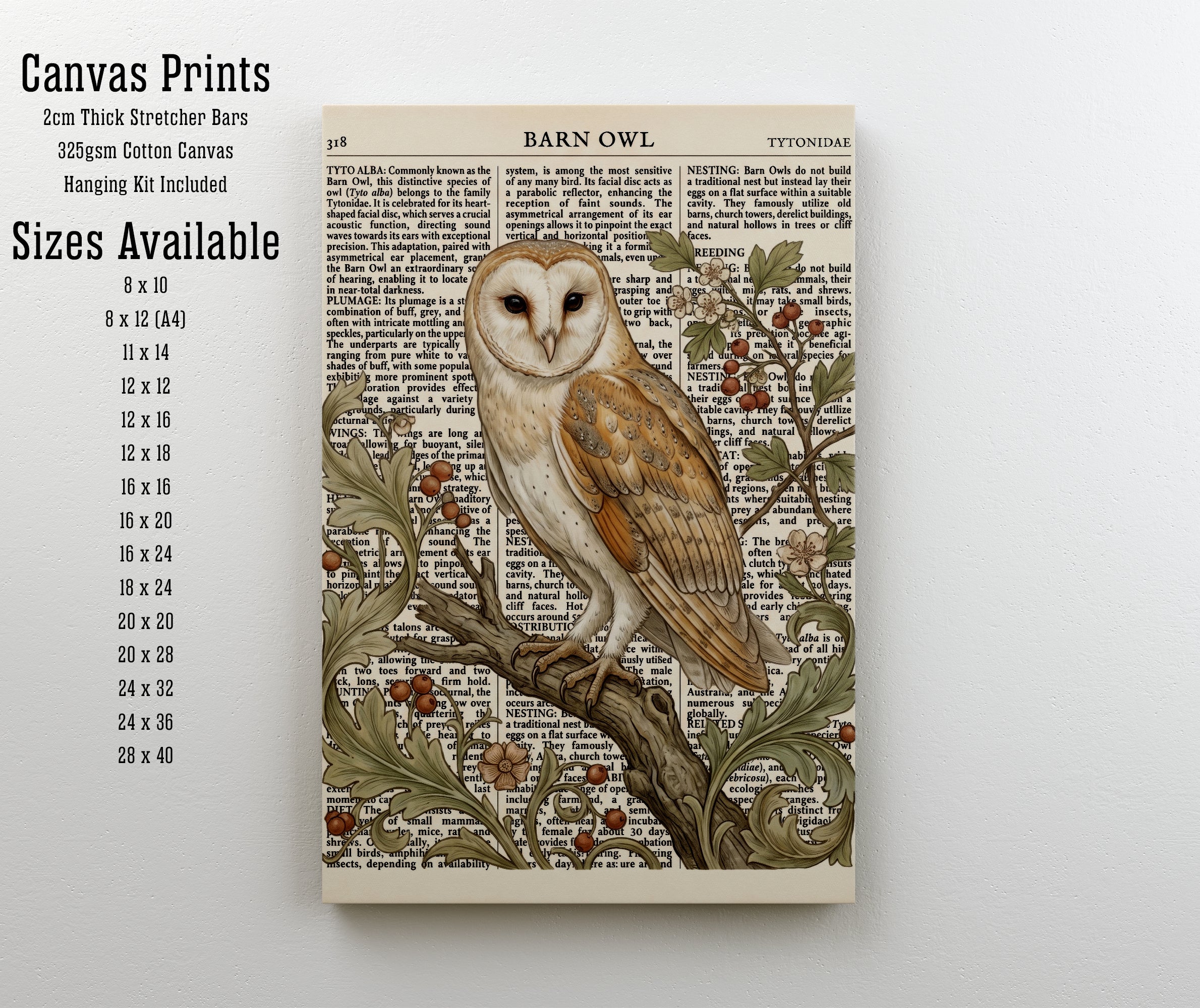 Barn Owl Botanical Art Print