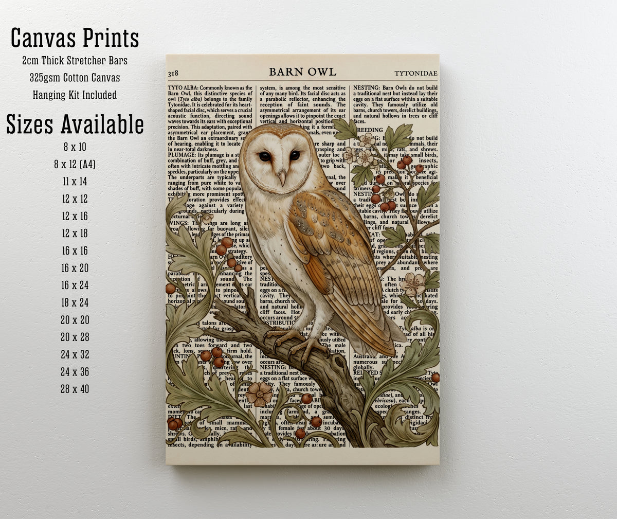 Barn Owl Botanical Art Print
