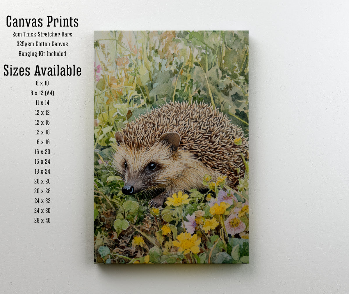 Hedgehog Wildflower Watercolour Art Print