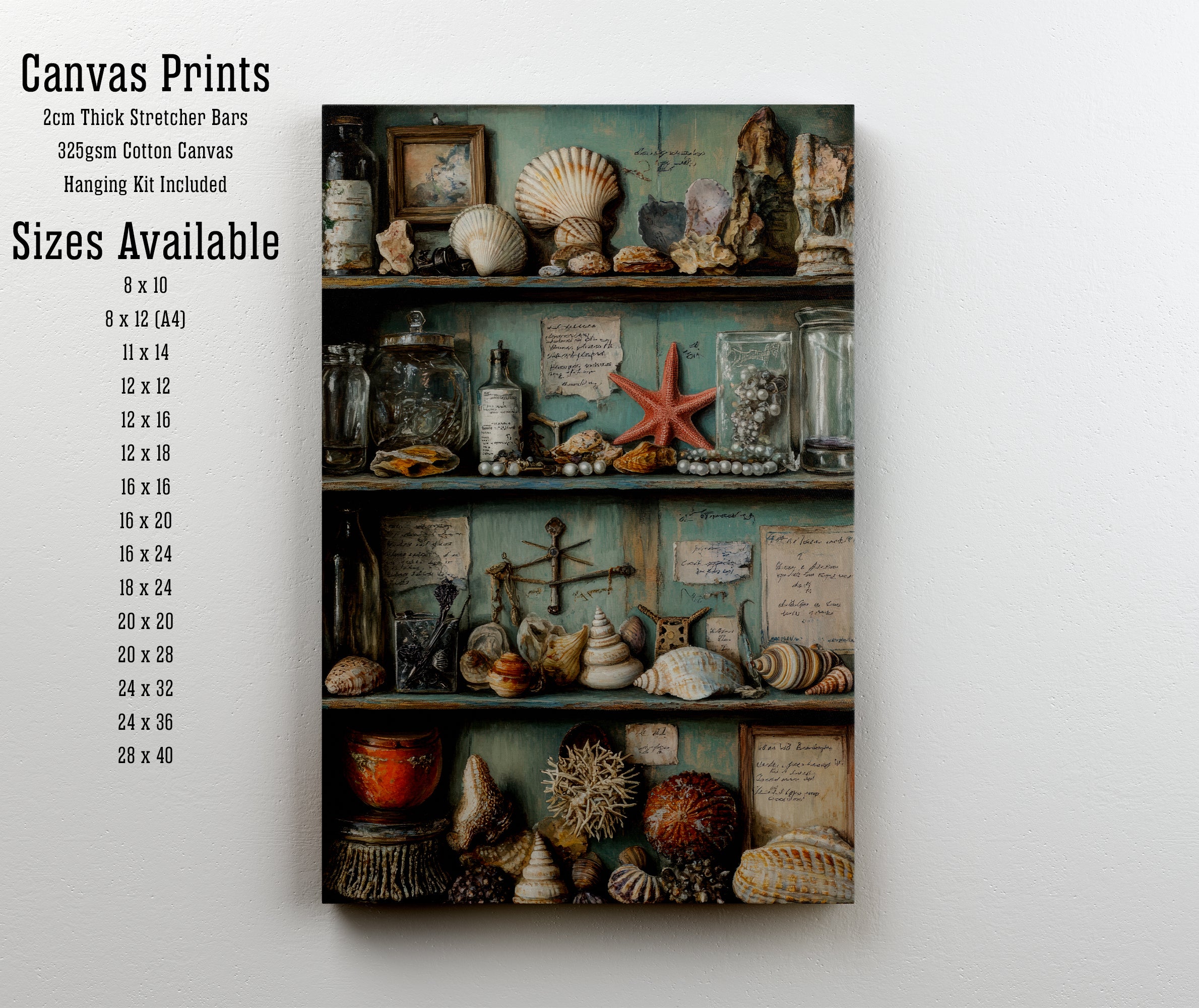 Seashell Cabinet Still Life Art Print