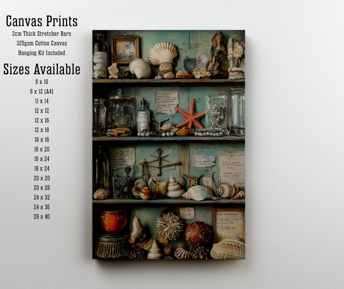 Seashell Cabinet Still Life Art Print