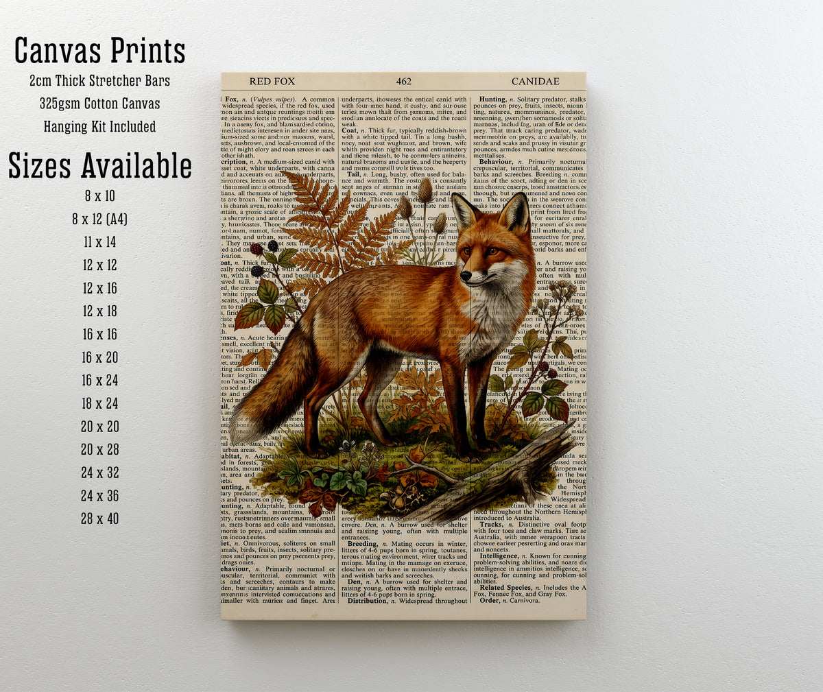 Vintage Red Fox Natural History Art Print