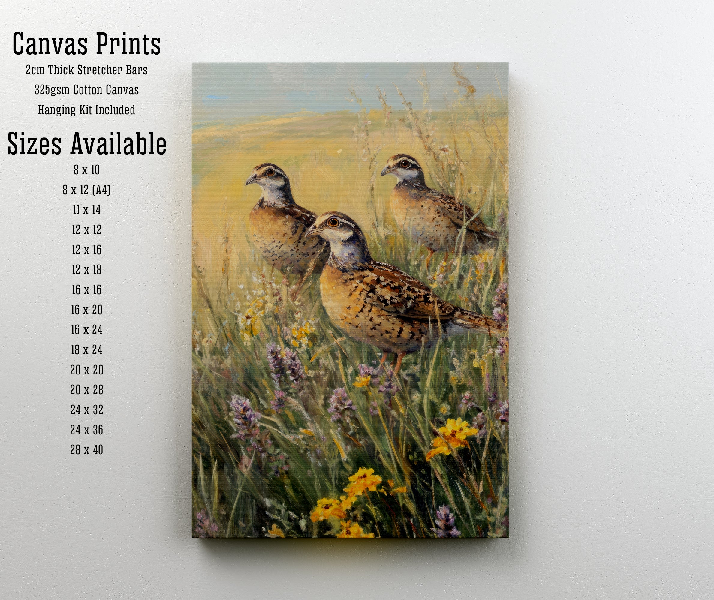 Partridges in Meadow Art Print