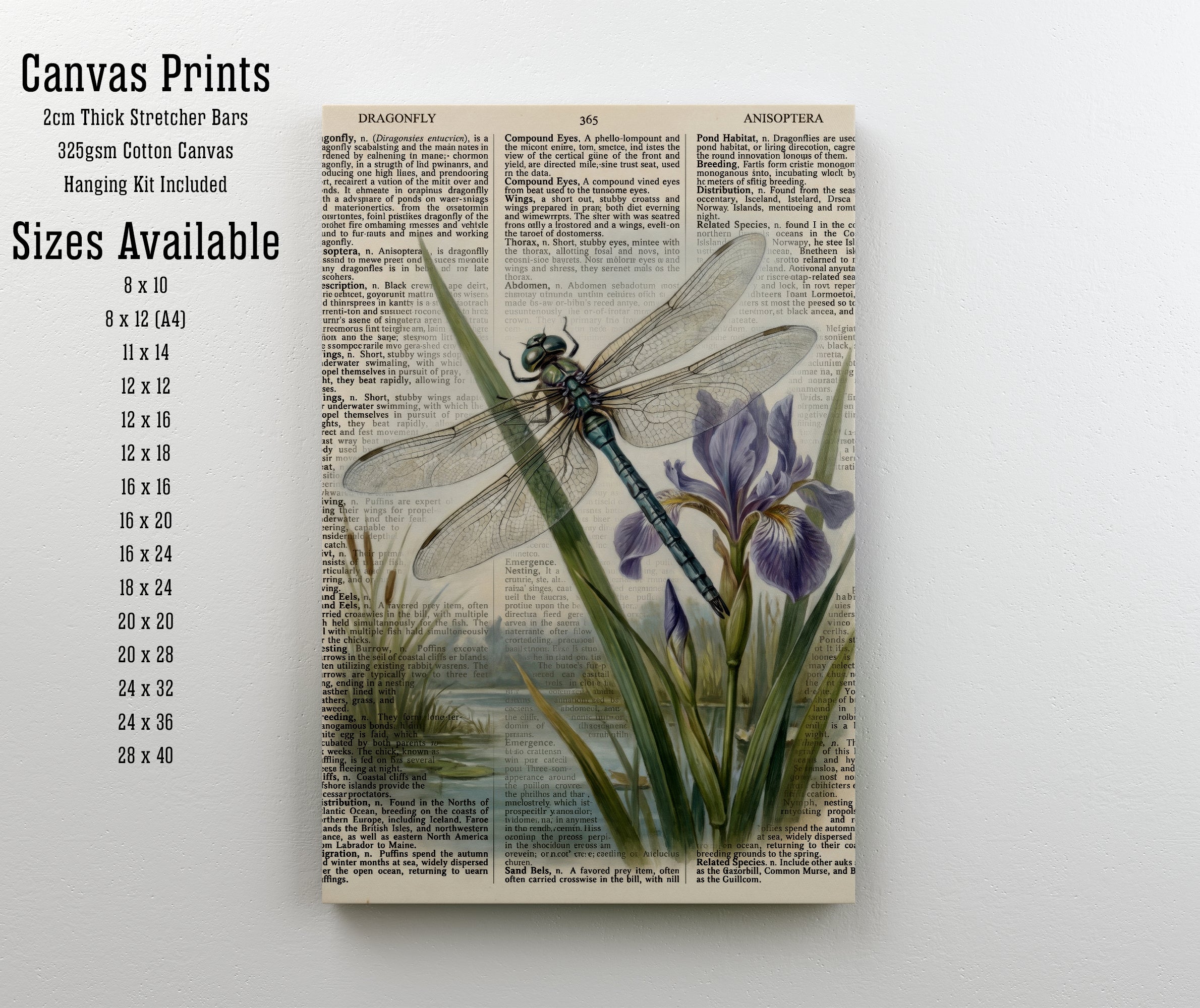 Vintage Dragonfly Iris Art Print