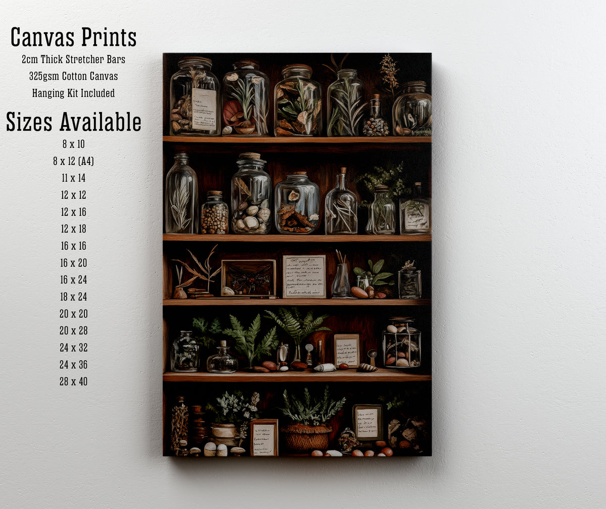 Apothecary Cabinet Botanical Art Print