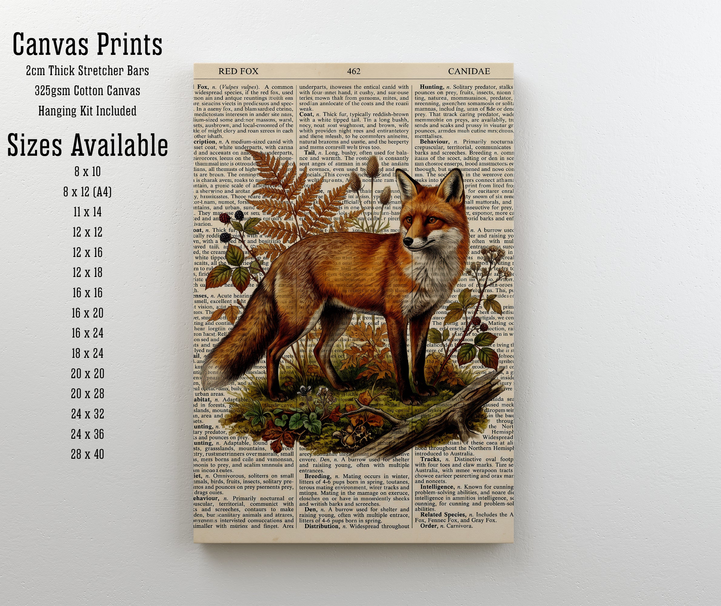 Vintage Red Fox Botanical Art Print
