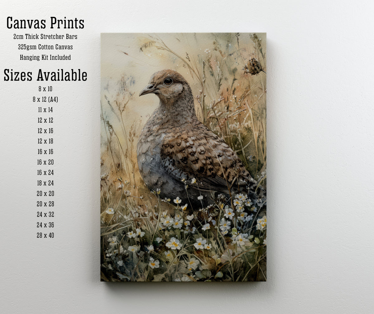 Partridge Wildflower Watercolour Art Print