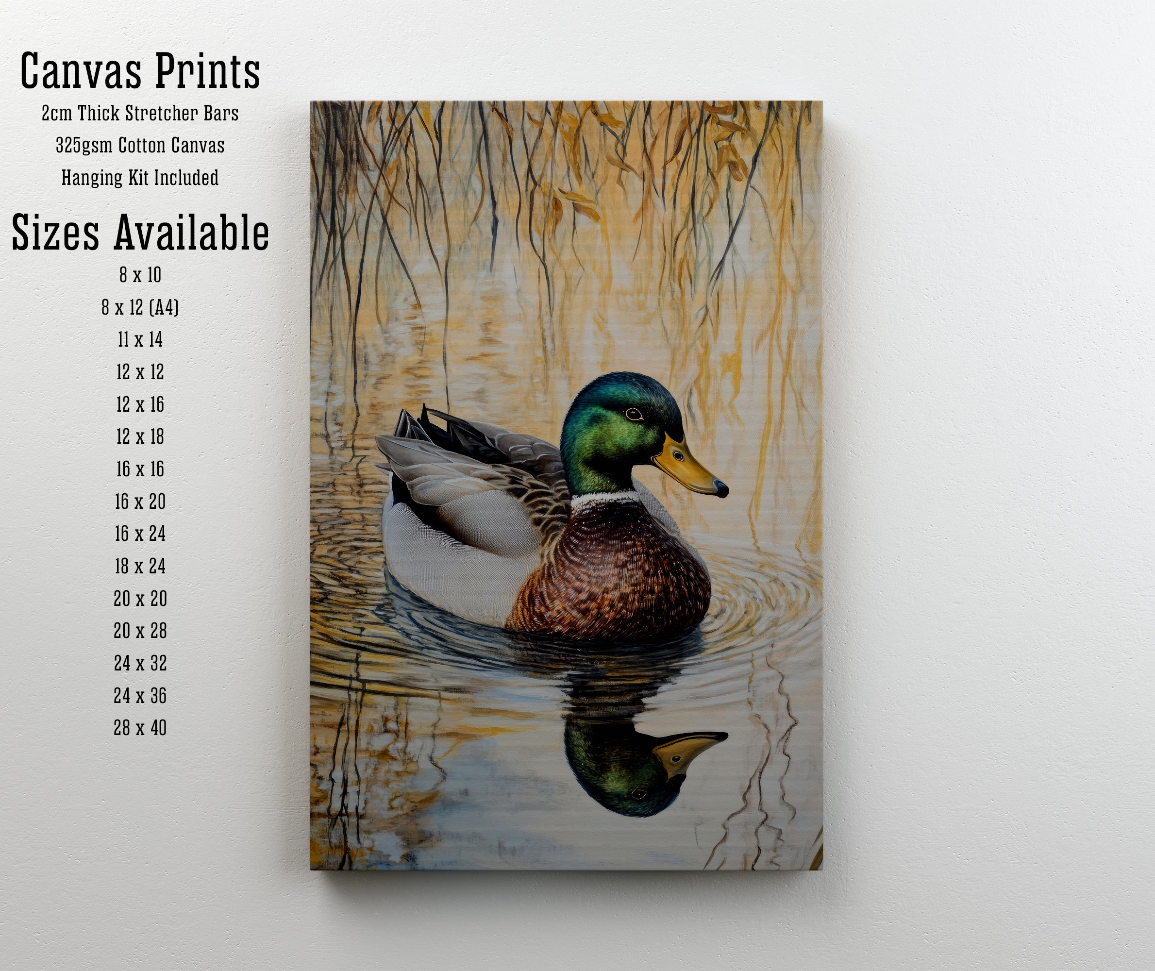 Mallard Duck Pond Art Print