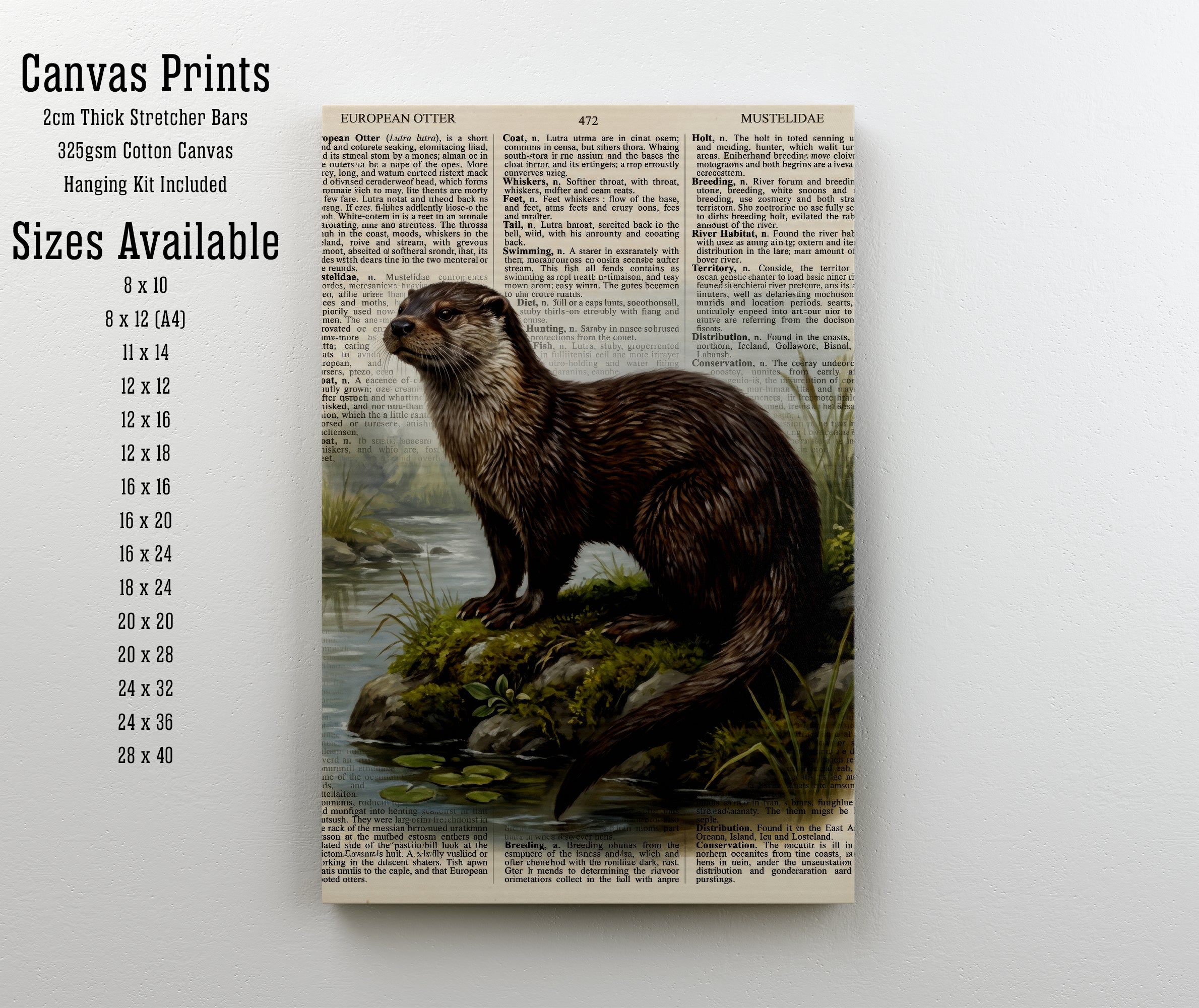 European Otter Vintage Art Print