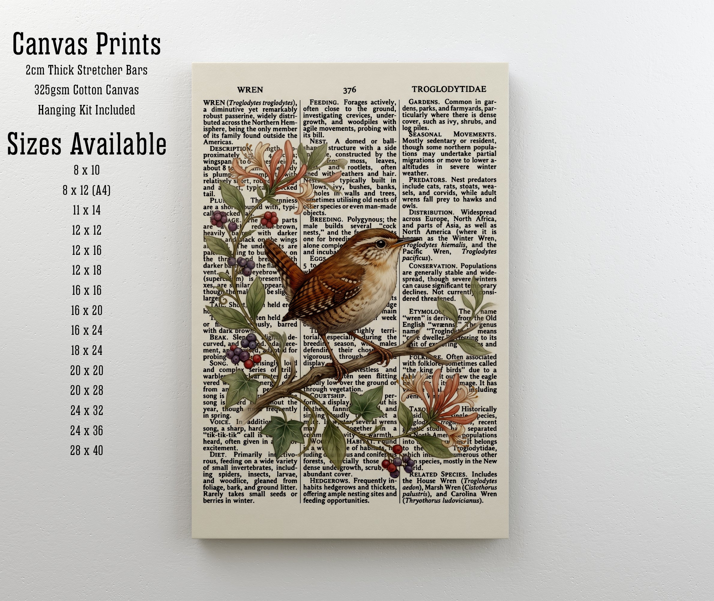 Vintage Wren Botanical Art Print