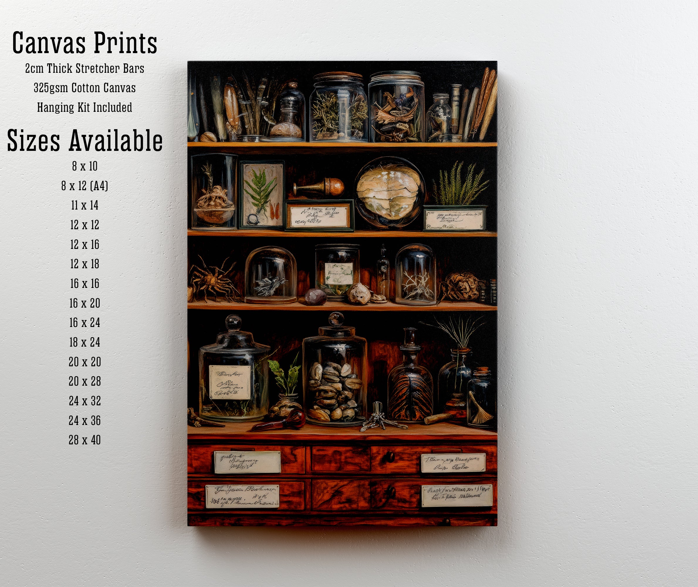 Apothecary Cabinet Dark Academia Art Print