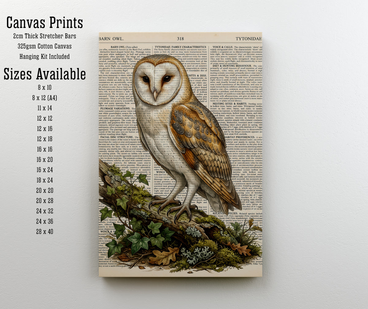 Barn Owl Vintage Natural History Art Print