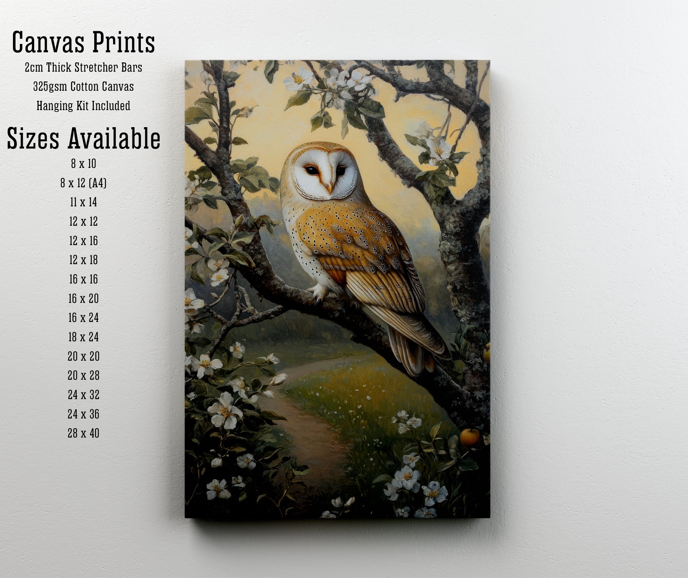 Barn Owl Apple Blossom Art Print