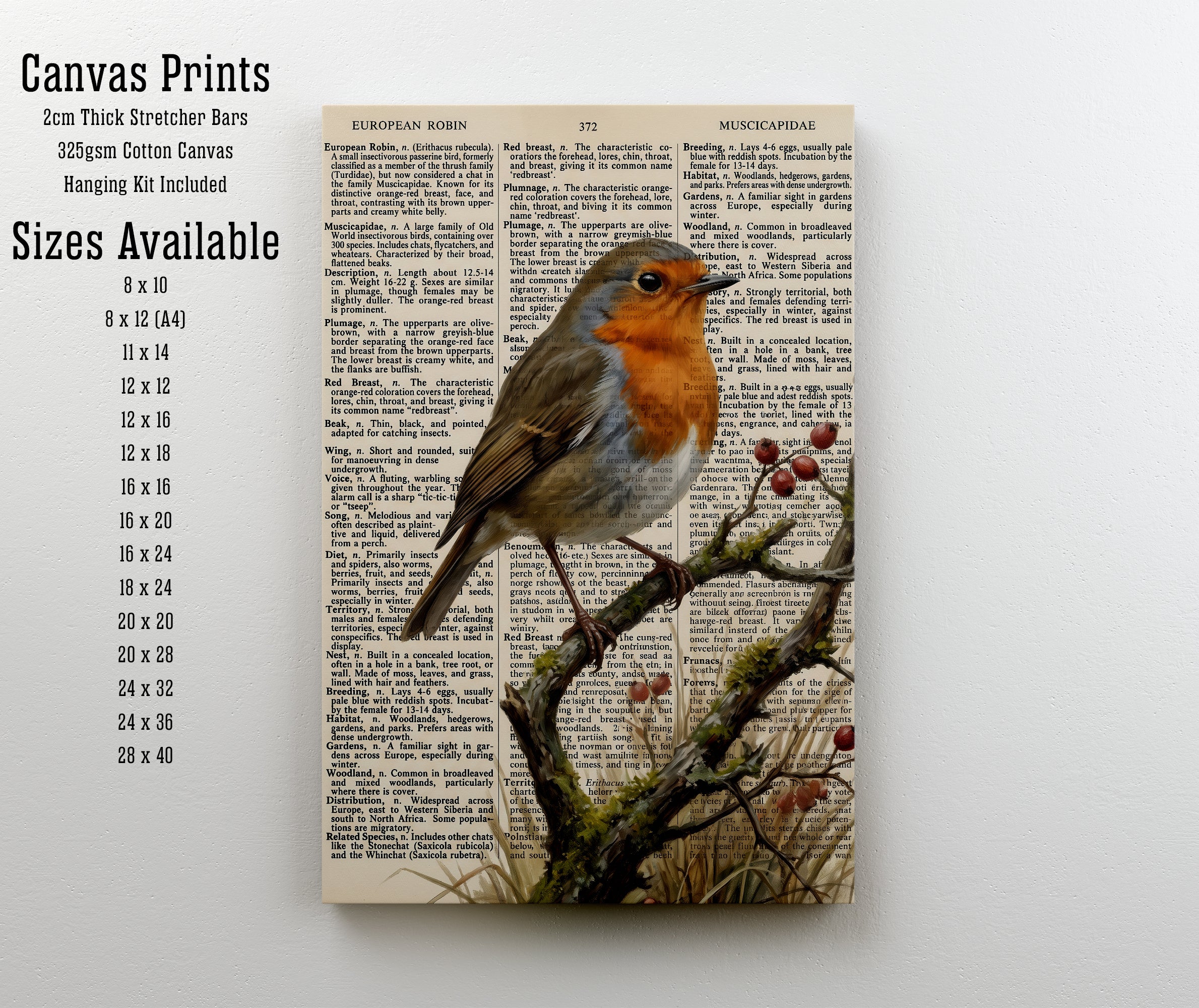 European Robin Vintage Dictionary Art Print