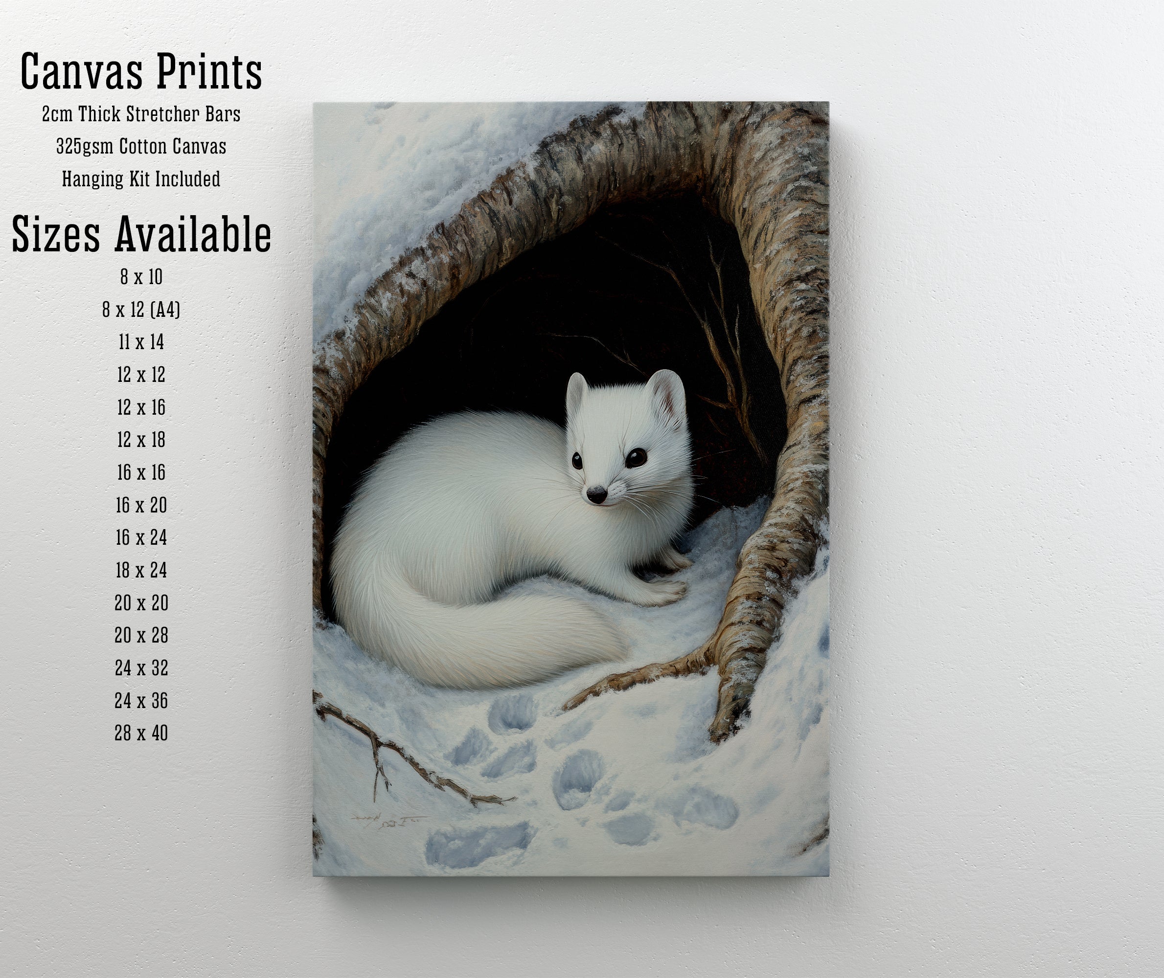 Winter Stoat Wildlife Art Print