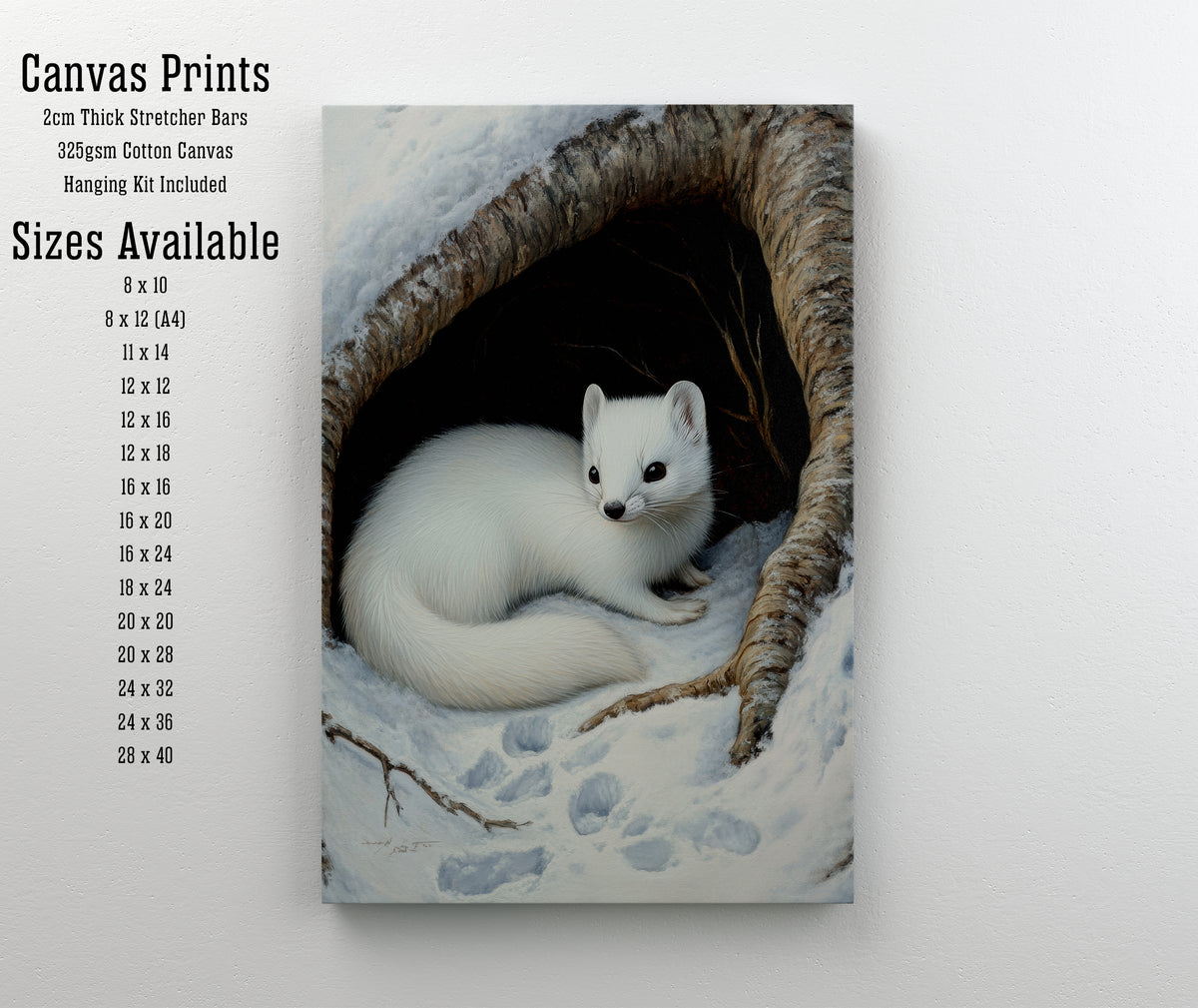 Winter Stoat Wildlife Art Print
