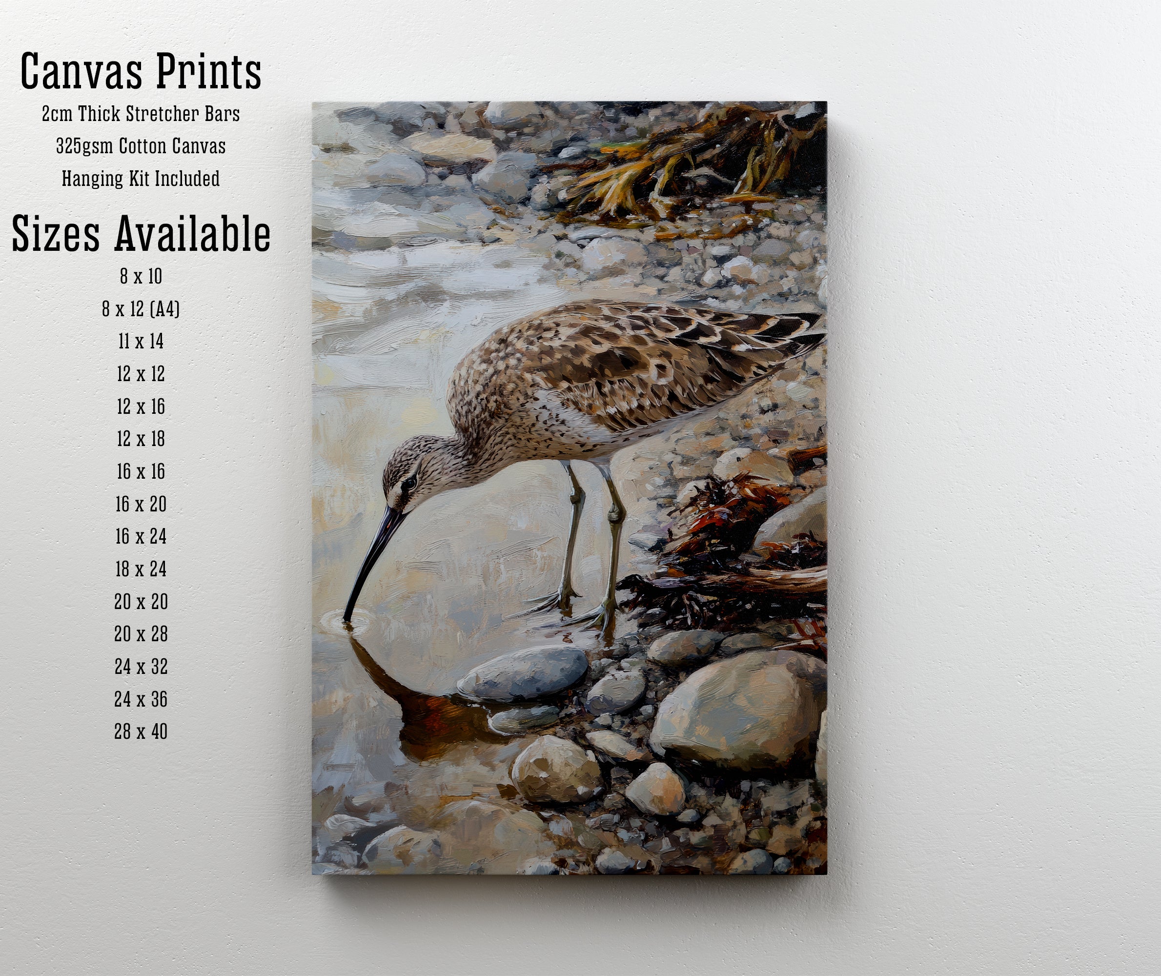 Painterly Shorebird Art Print