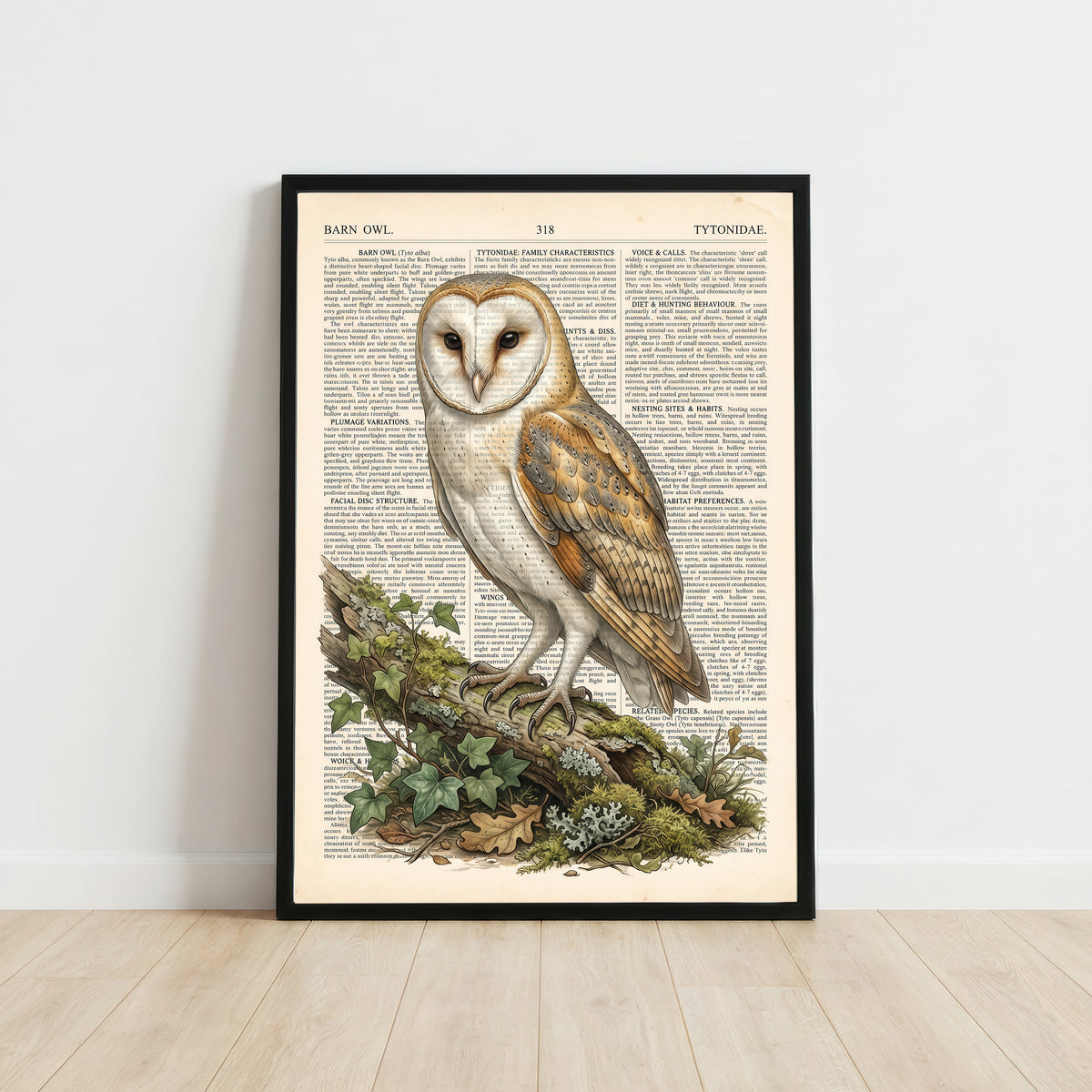 Vintage Barn Owl Art Print