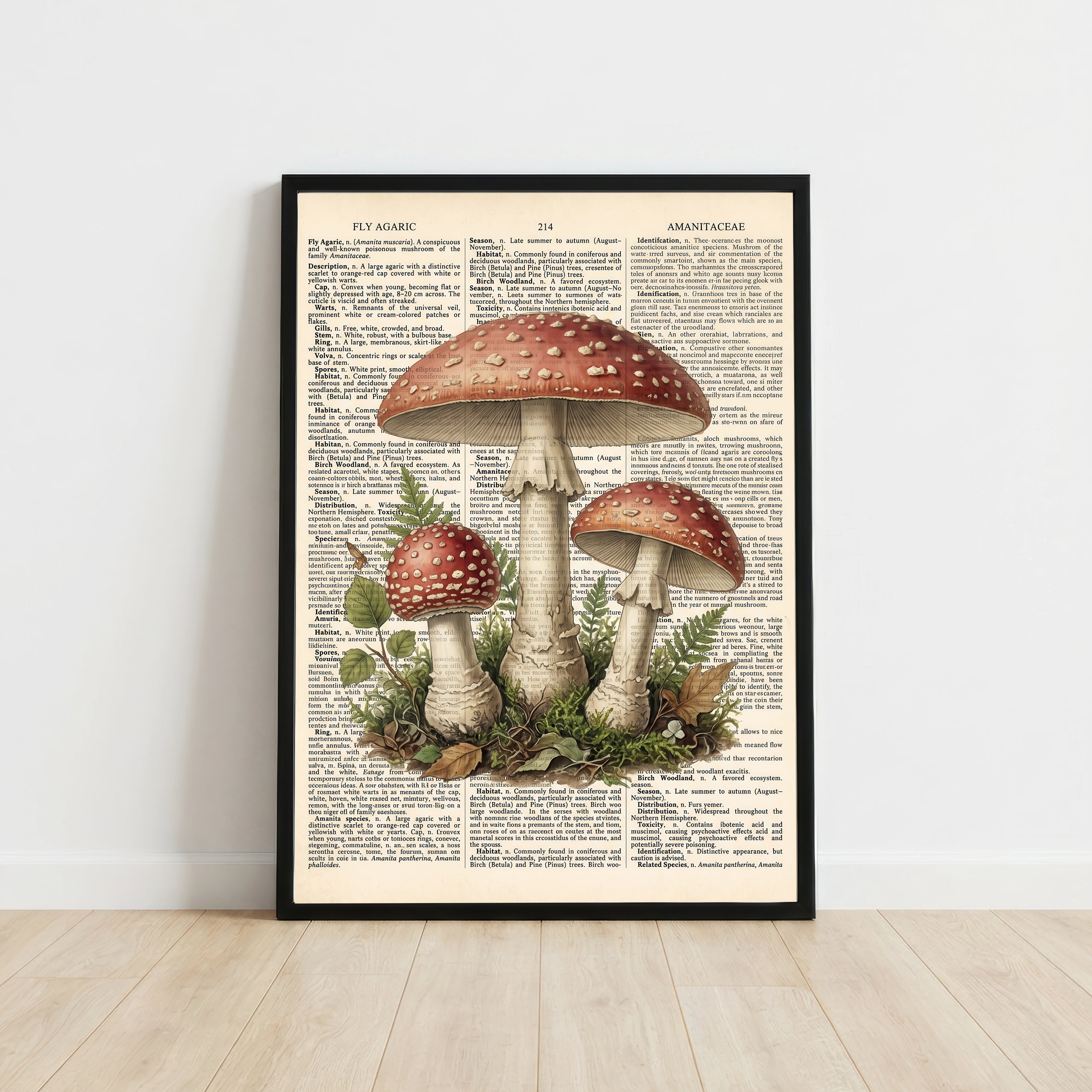 Fly Agaric Mushroom Art Print