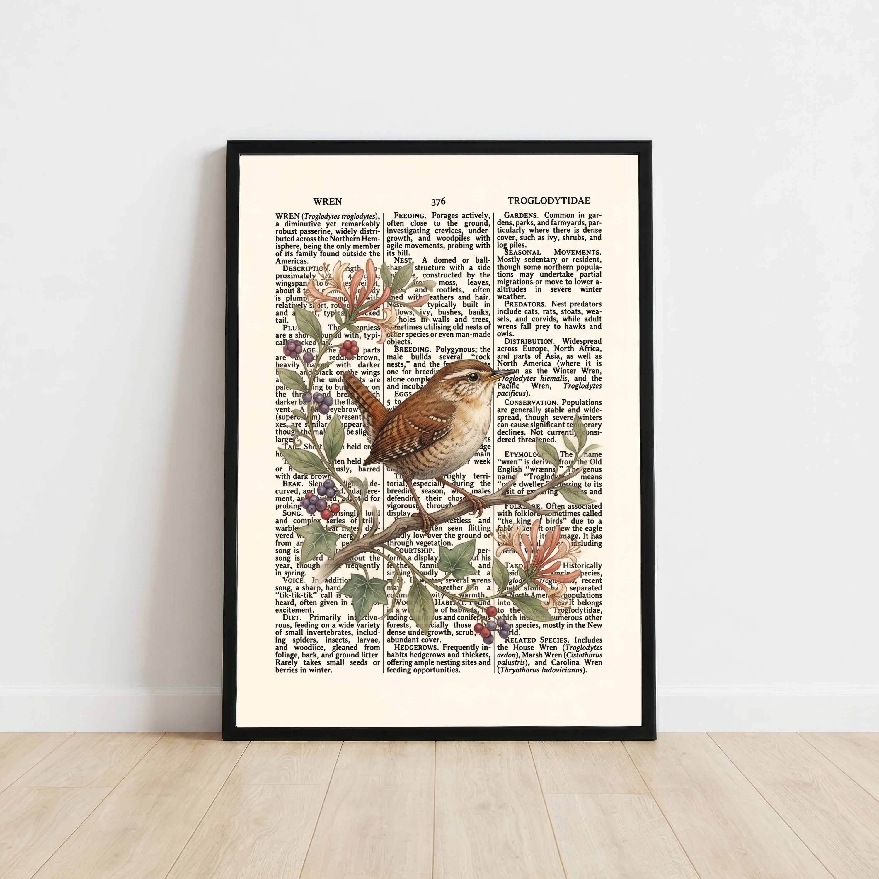 Vintage Wren Botanical Art Print