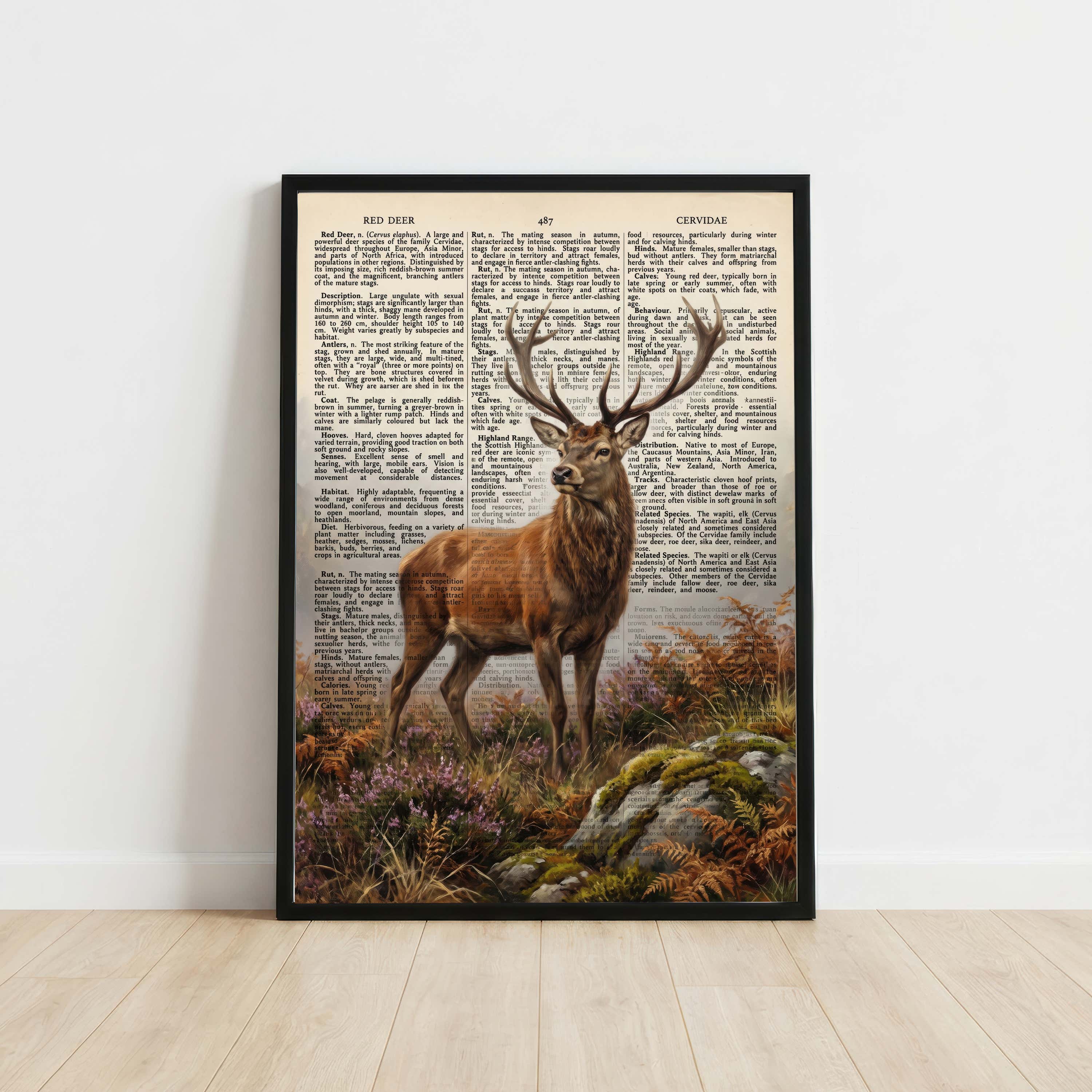 Red Deer Vintage Natural History Art Print