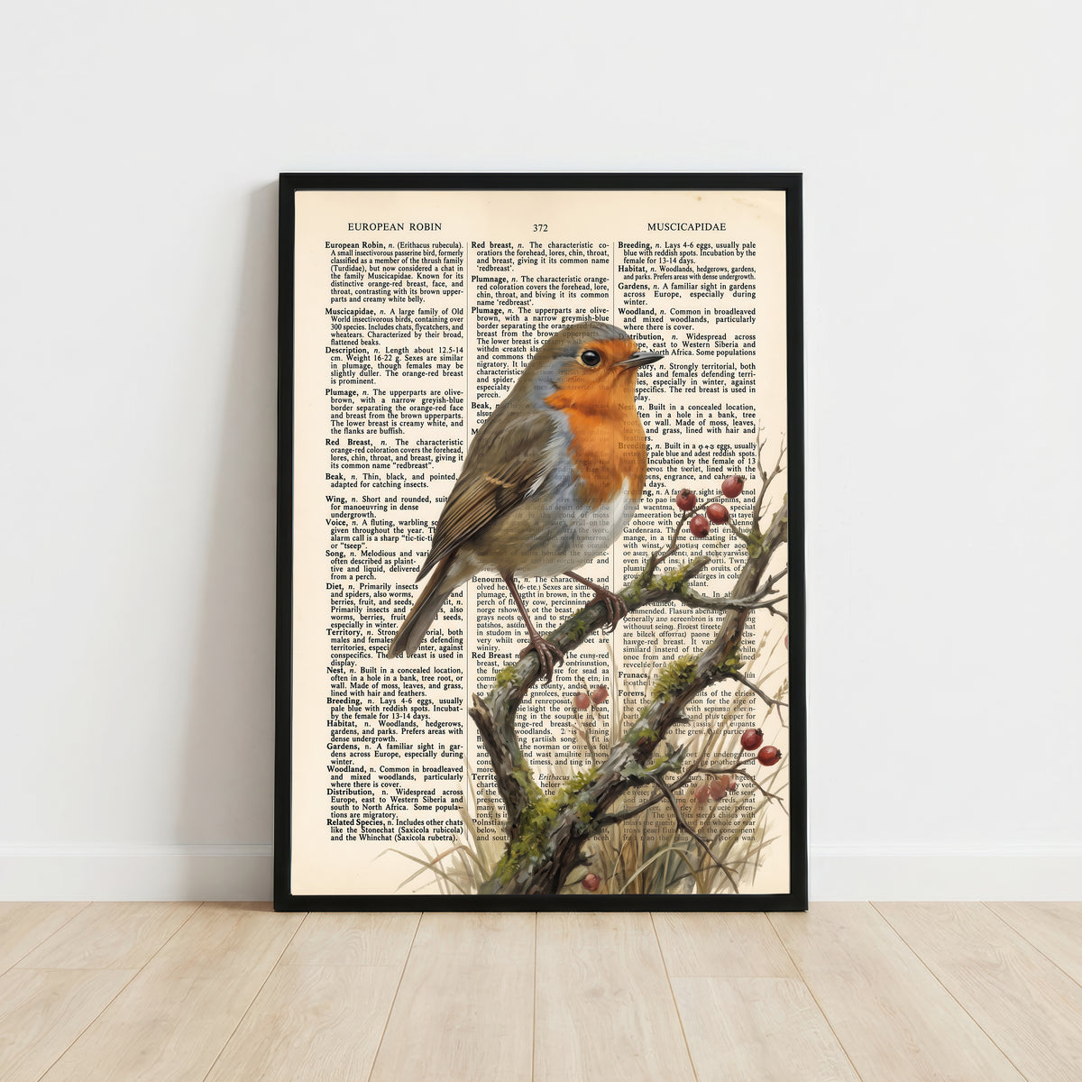 European Robin Vintage Art Print