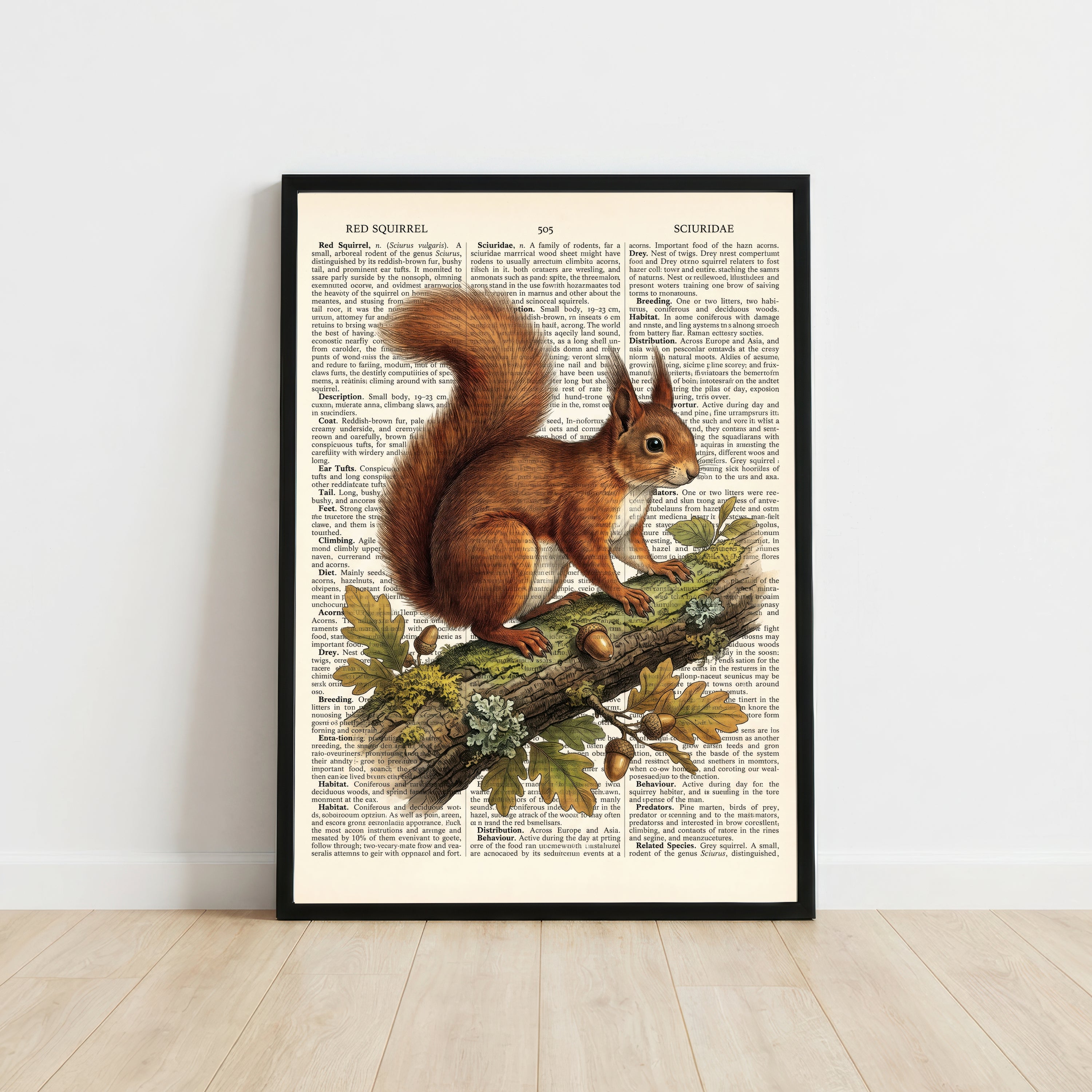 Red Squirrel Vintage Art Print