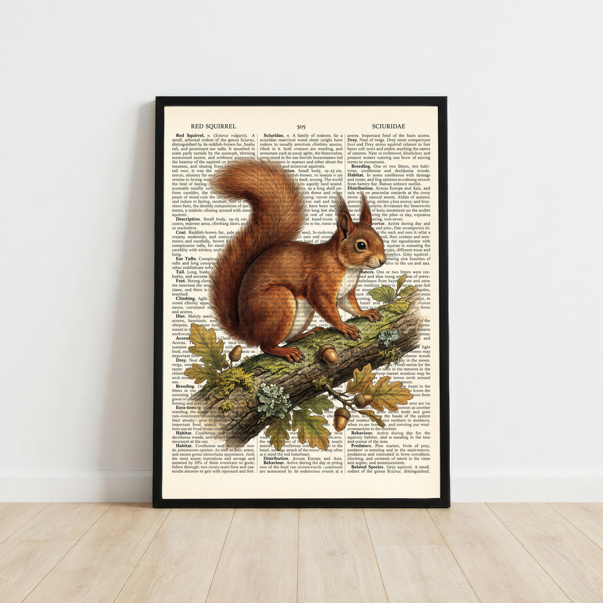 Red Squirrel Vintage Art Print