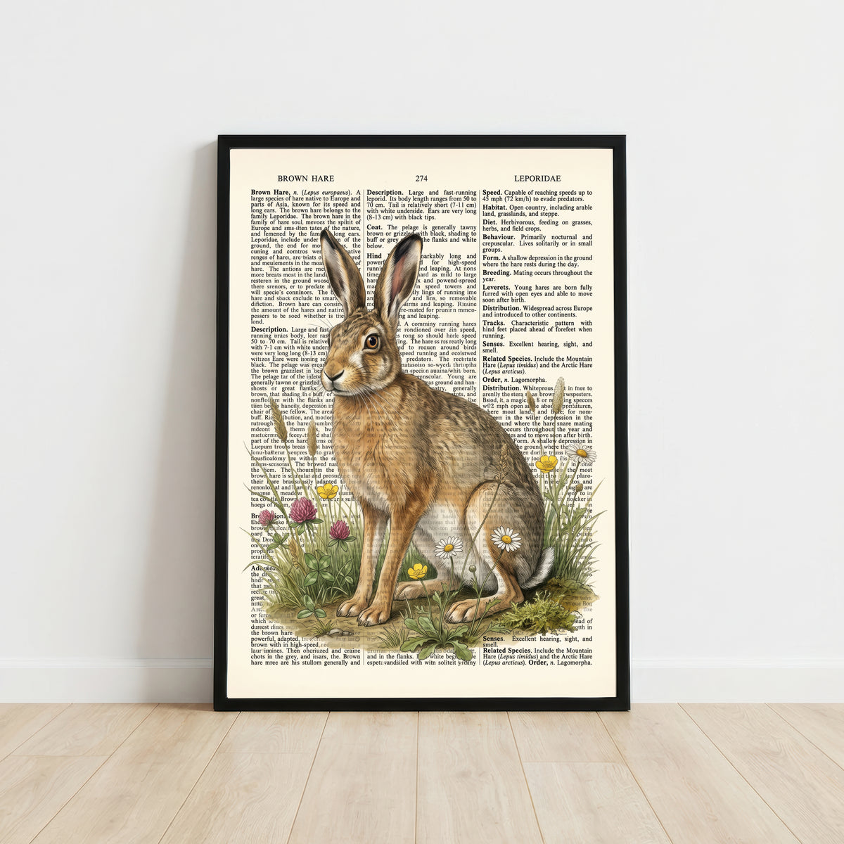 Brown Hare Botanical Art Print