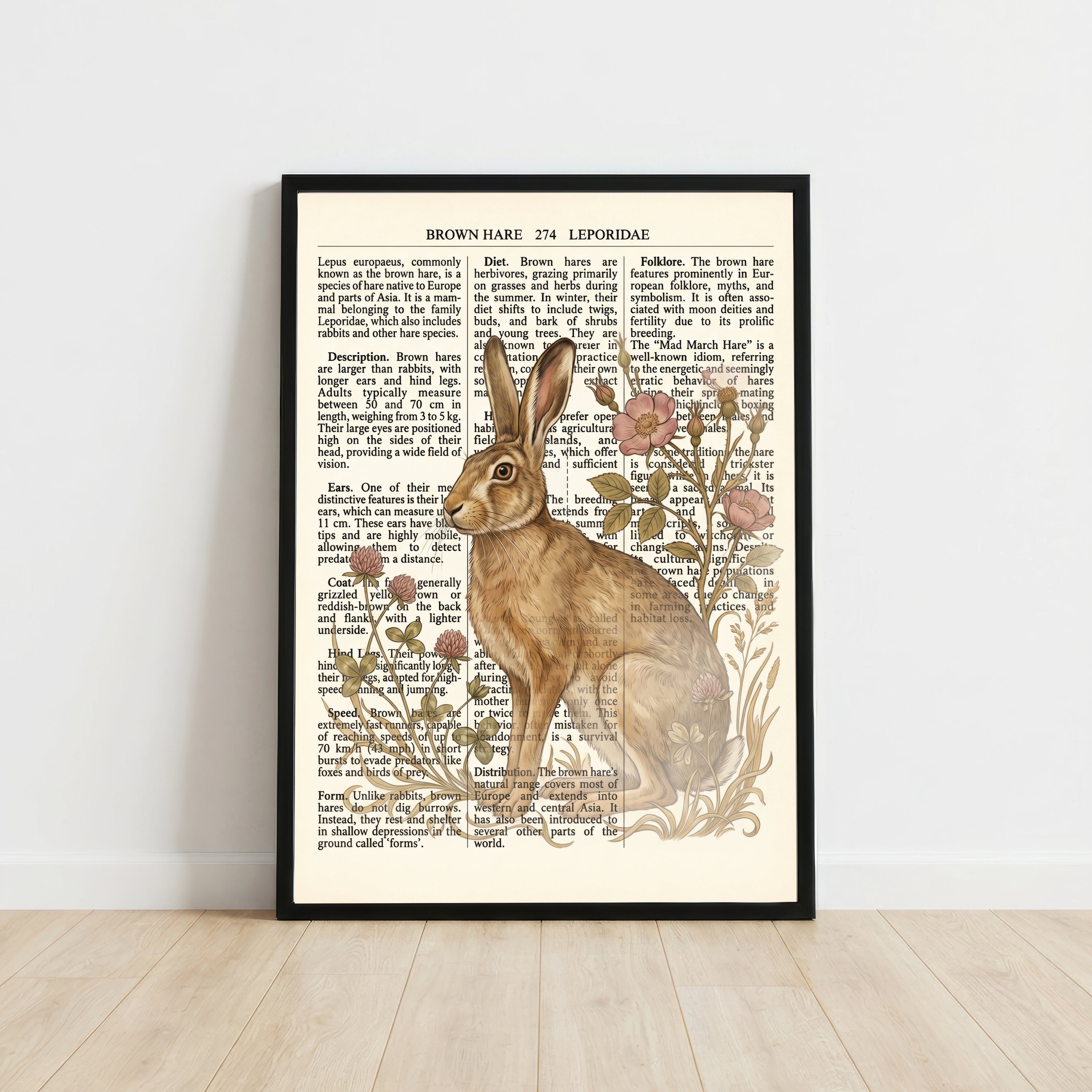 Brown Hare Botanical Art Print